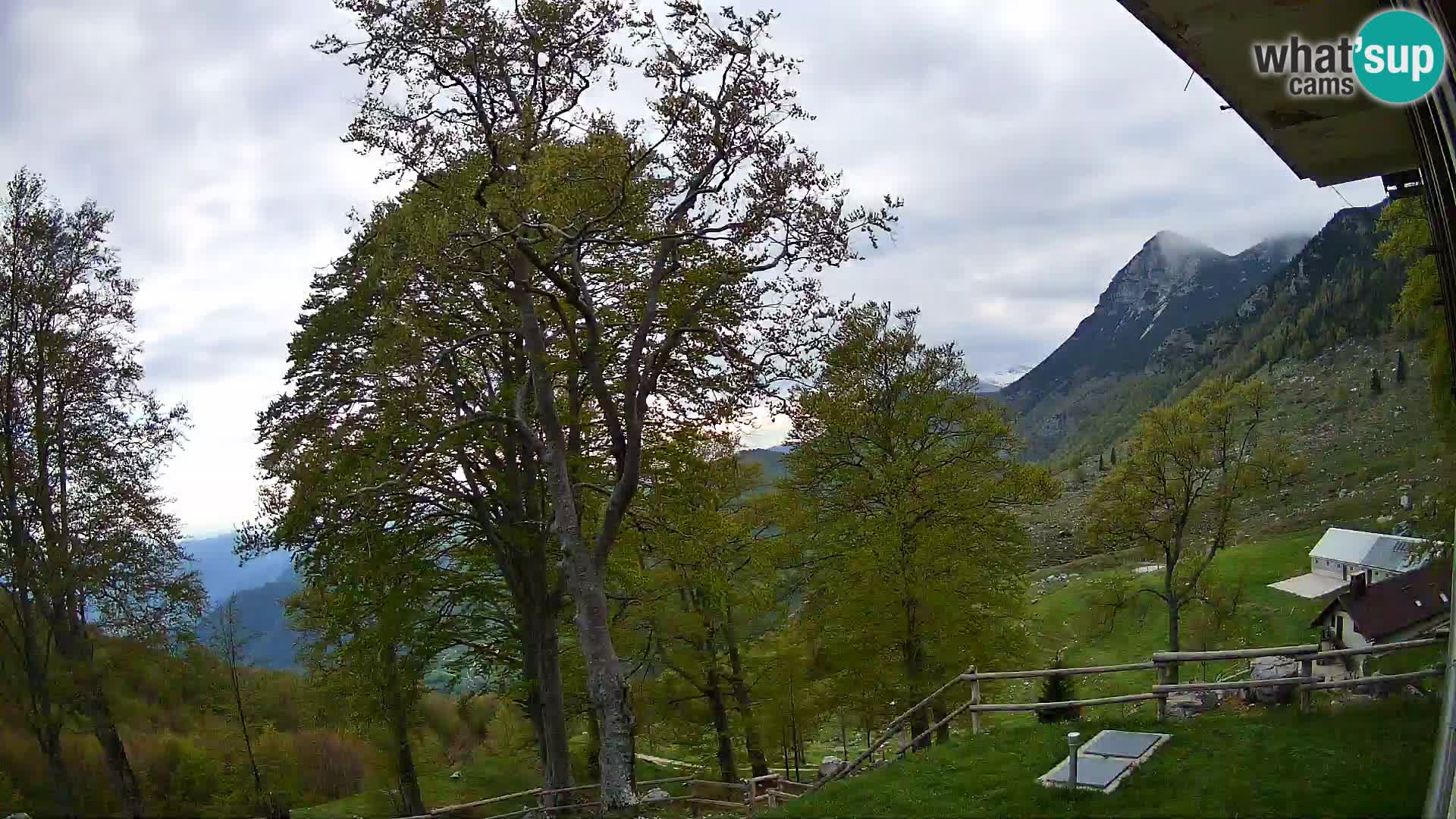 Koča na Planini Razor spletna kamera (1315) | Pogled na Tolminski Migovec