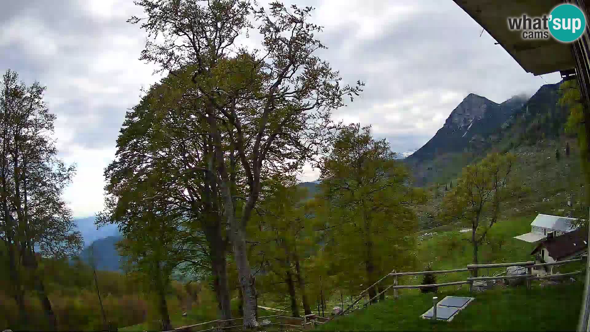 Refuge de la montagne Planina Razor caméra en direct (1315) | vue sur Tolminski Migovec