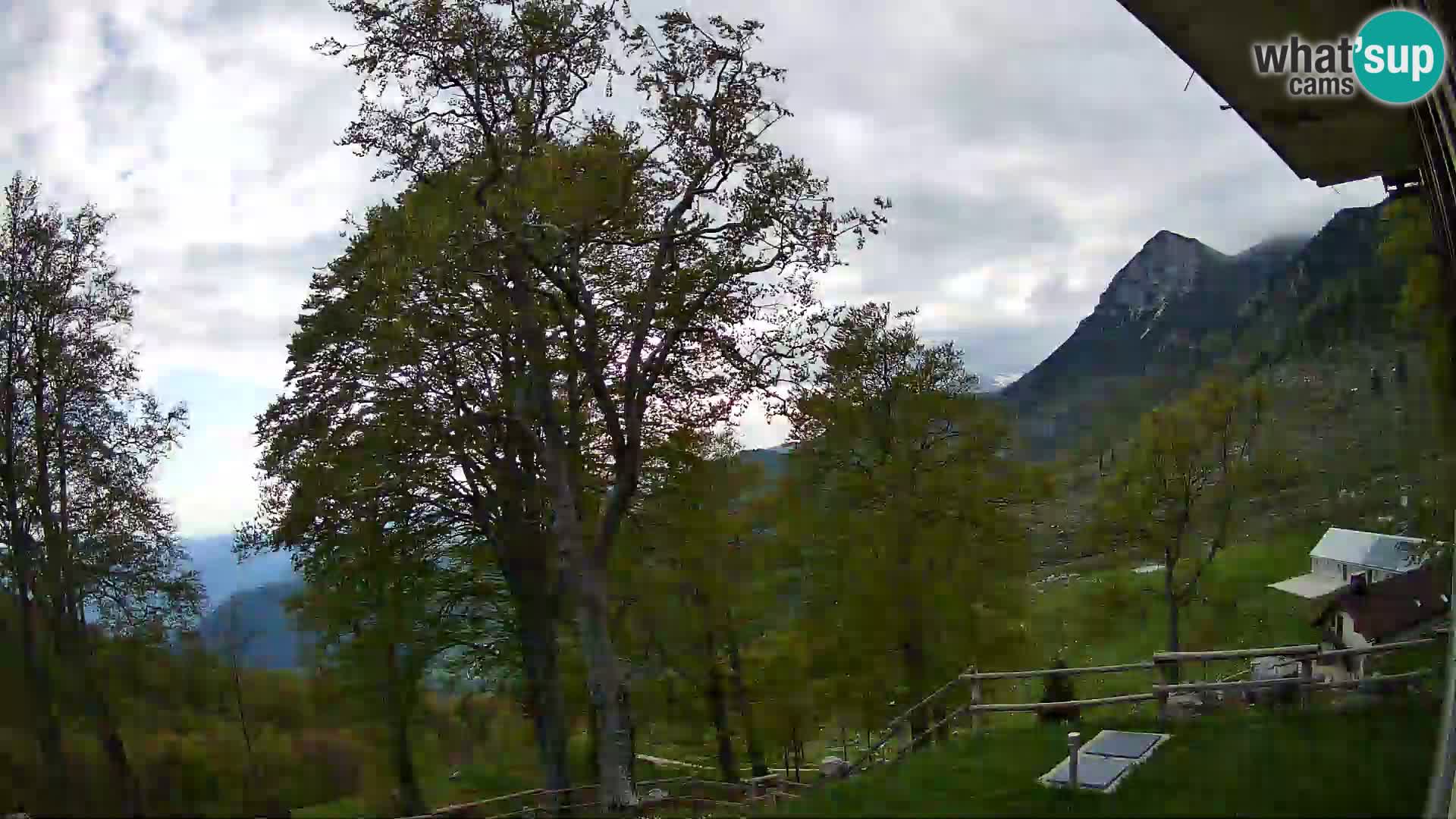 Planina Razor Mountain Hut live cam (1315) | view to Tolminski Migovec