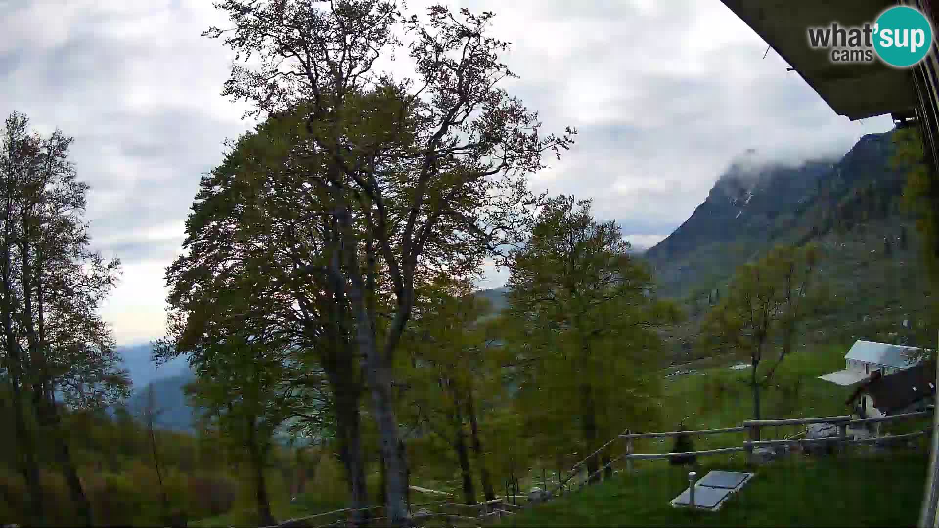 Planina Razor Mountain Hut live cam (1315) | view to Tolminski Migovec