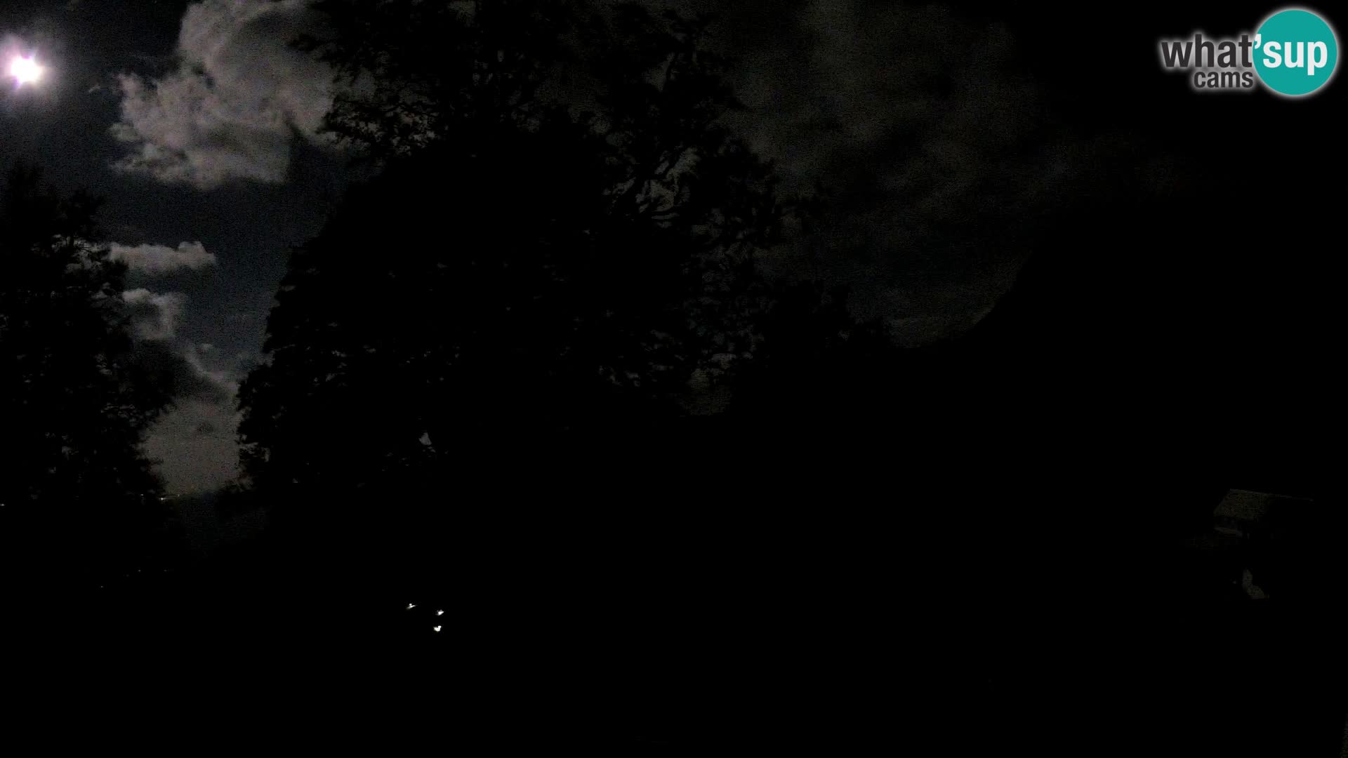 Planina Razor Bergütte Webcam (1315) | Blick auf Tolminski Migovec