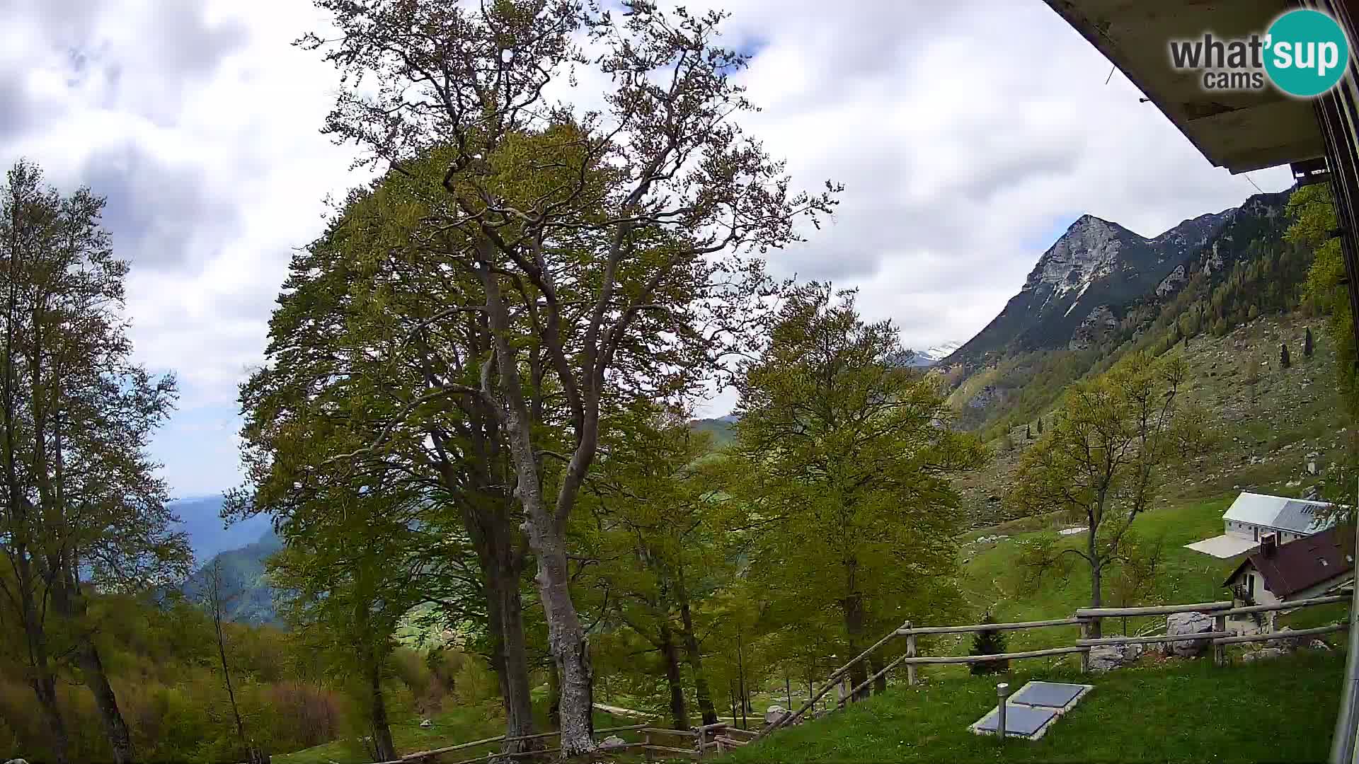 Planina Razor Bergütte Webcam (1315) | Blick auf Tolminski Migovec