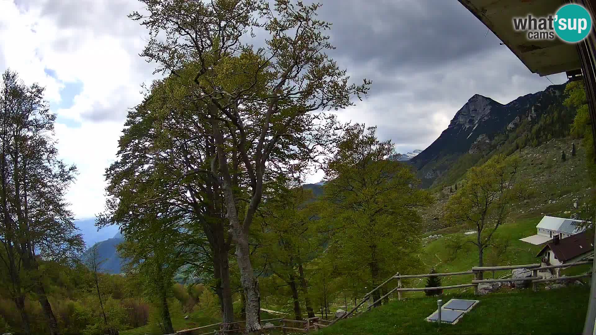 Planina Razor Bergütte Webcam (1315) | Blick auf Tolminski Migovec