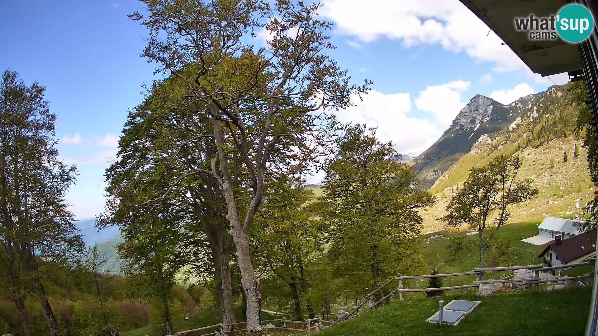Planina Razor Bergütte Webcam (1315) | Blick auf Tolminski Migovec