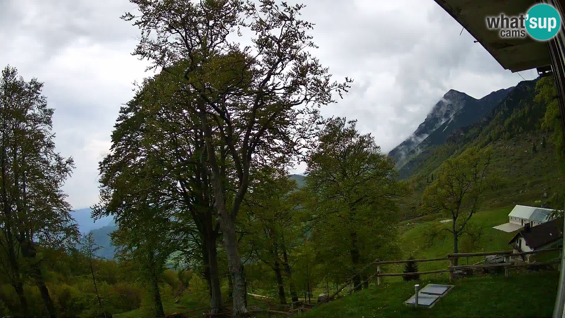 Refuge de la montagne Planina Razor caméra en direct (1315) | vue sur Tolminski Migovec