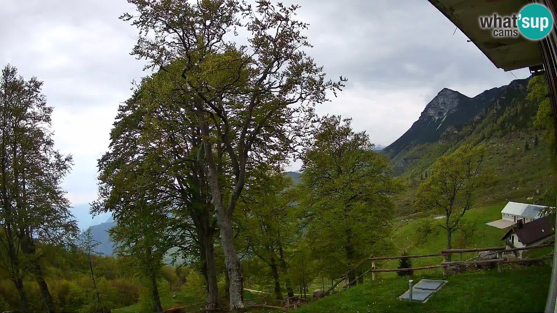 Planina Razor Bergütte Webcam (1315) | Blick auf Tolminski Migovec