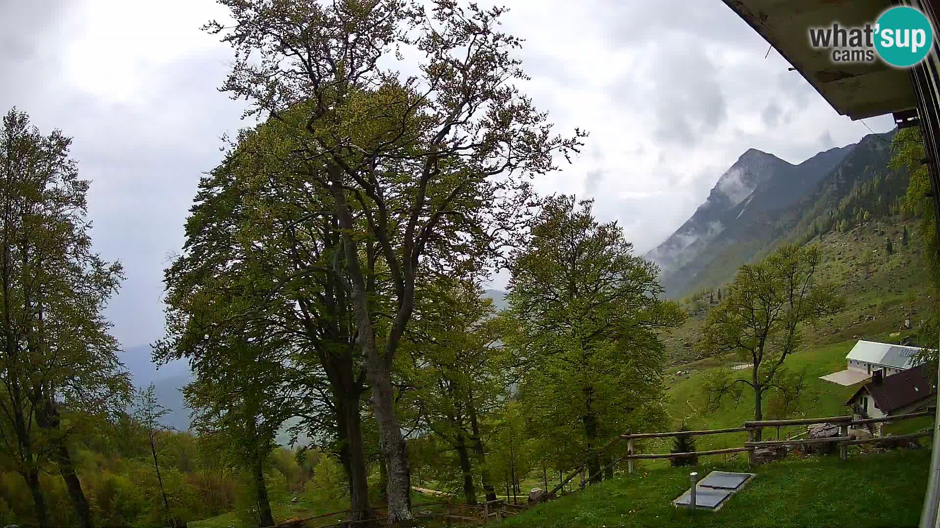 Planina Razor Bergütte Webcam (1315) | Blick auf Tolminski Migovec