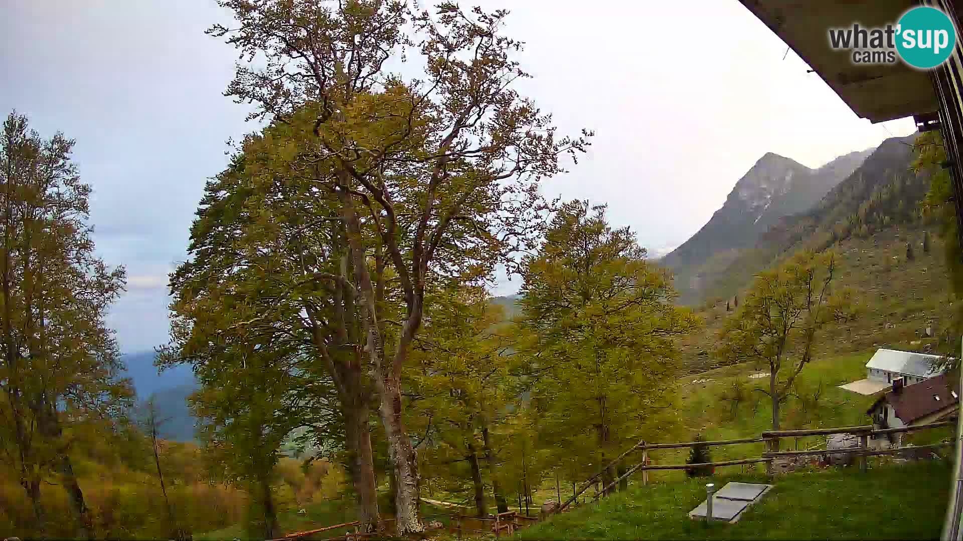 Refuge de la montagne Planina Razor caméra en direct (1315) | vue sur Tolminski Migovec