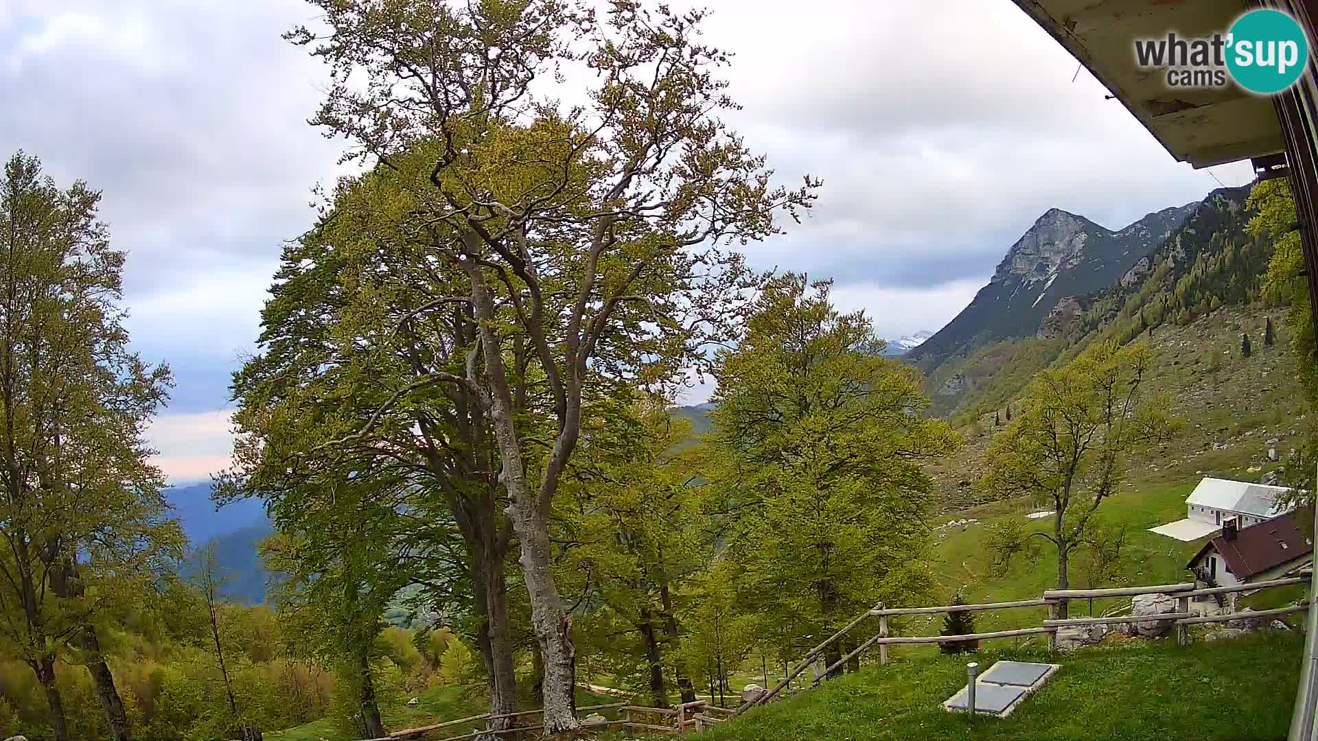 Baita di montagna Planina Razor webcam (1315) | vista su Tolminski Migovec