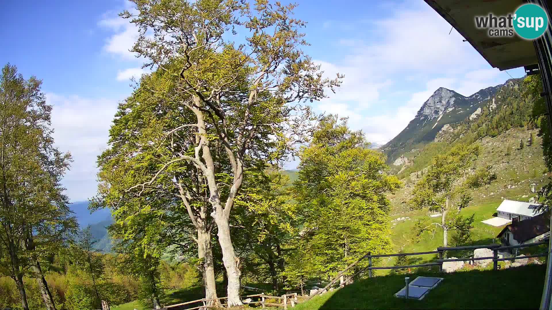Cámara en vivo de la cabaña de montaña Planina Razor (1315) | vista hacia Tolminski Migovec