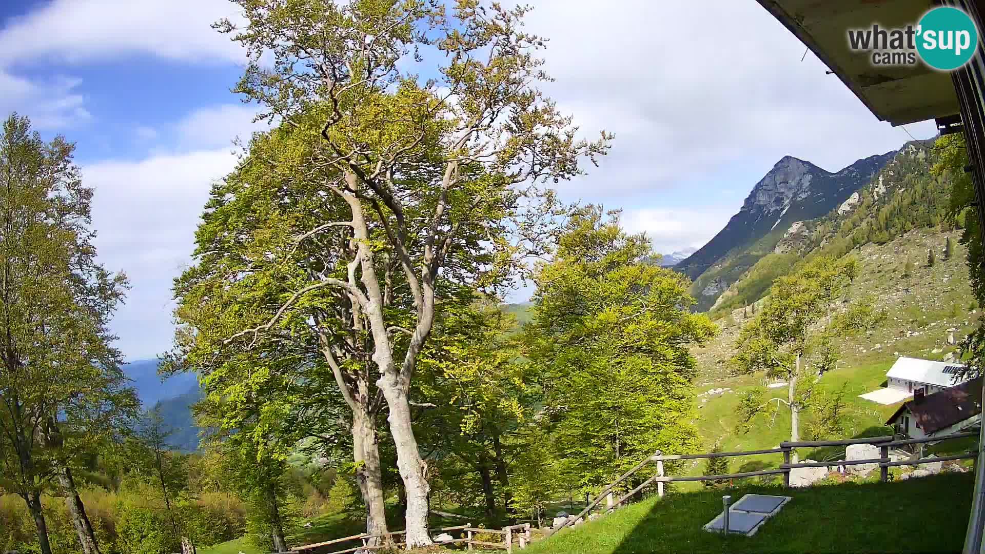 Baita di montagna Planina Razor webcam (1315) | vista su Tolminski Migovec