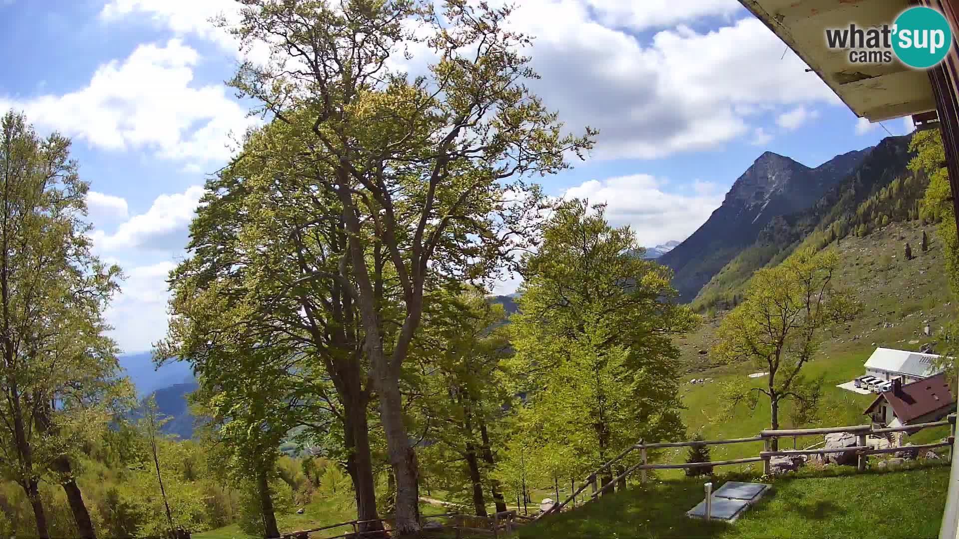 Planina Razor Bergütte Webcam (1315) | Blick auf Tolminski Migovec
