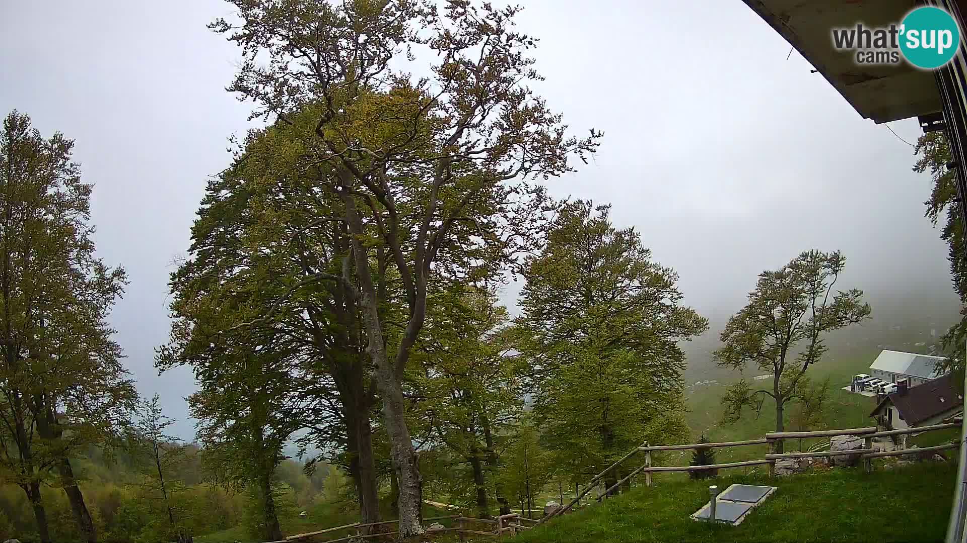 Baita di montagna Planina Razor webcam (1315) | vista su Tolminski Migovec