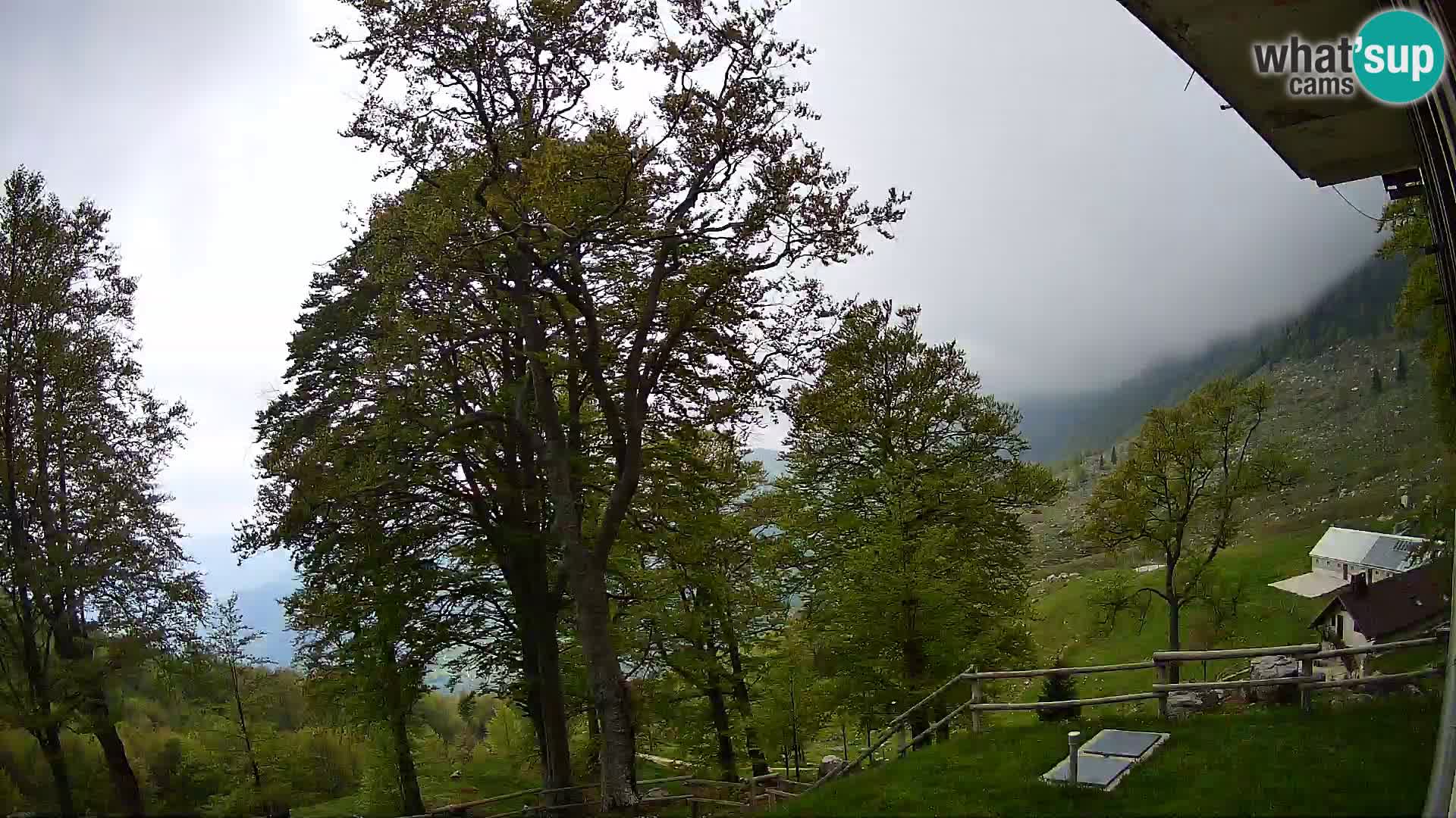 Cámara en vivo de la cabaña de montaña Planina Razor (1315) | vista hacia Tolminski Migovec