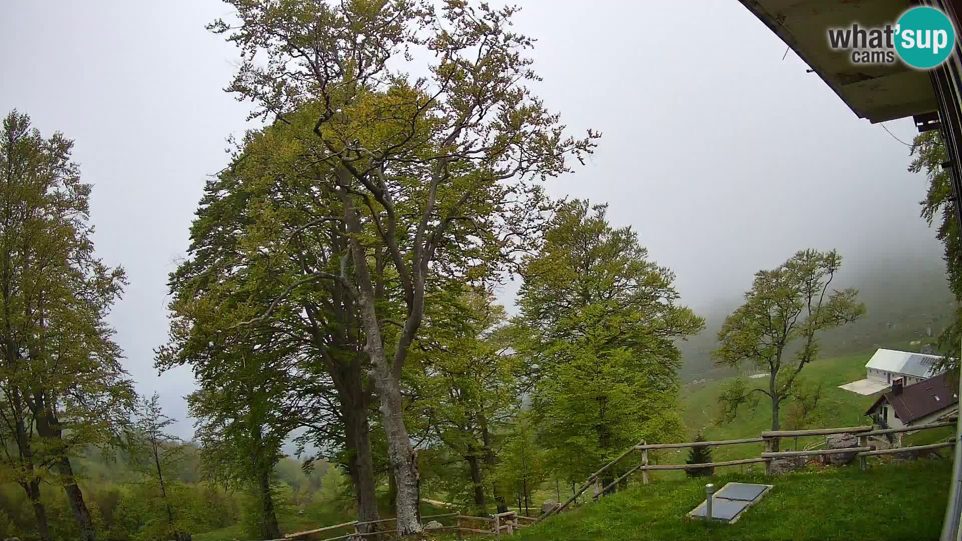 Cámara en vivo de la cabaña de montaña Planina Razor (1315) | vista hacia Tolminski Migovec