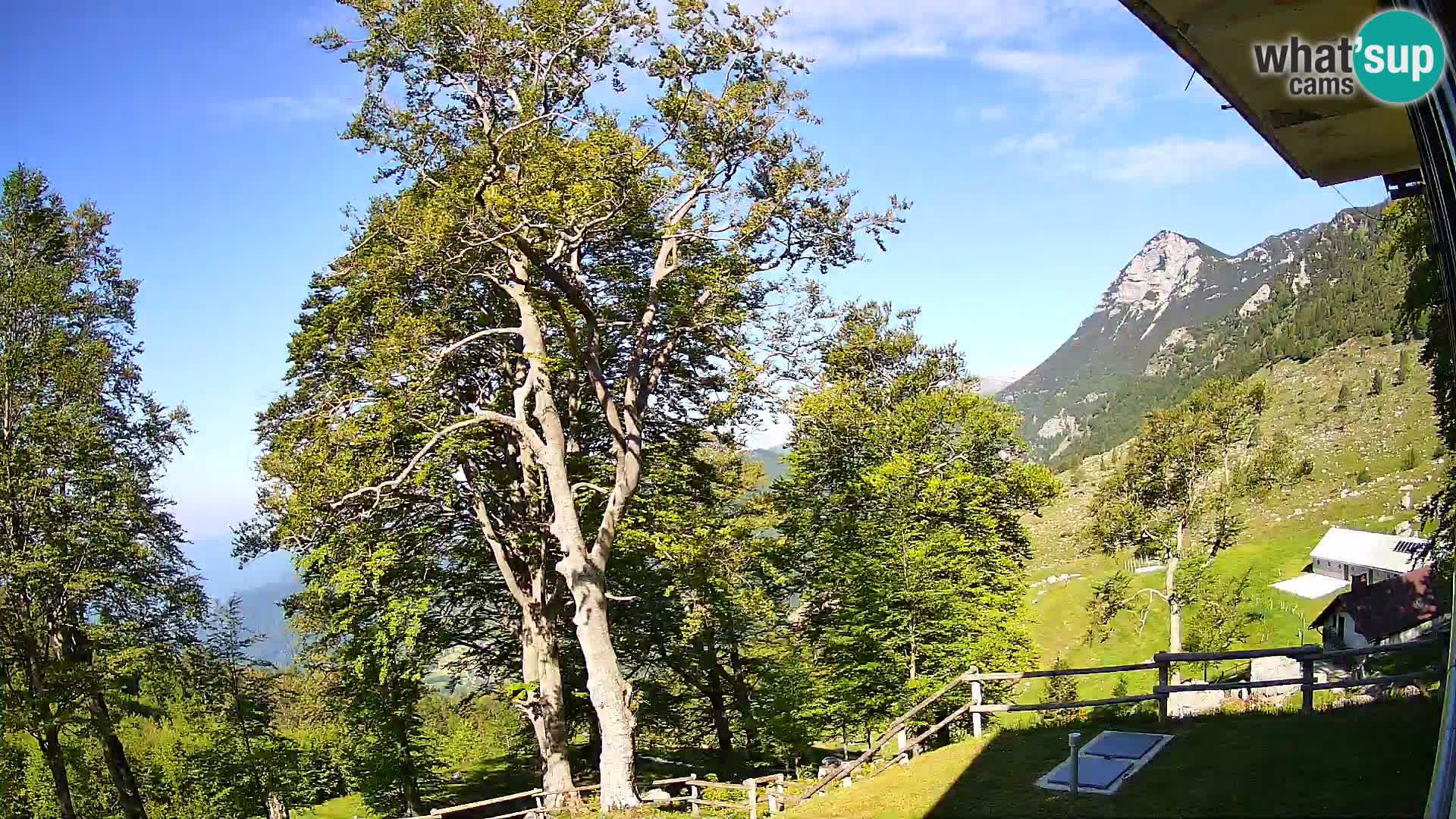 Planina Razor Mountain Hut live cam (1315) | view to Tolminski Migovec