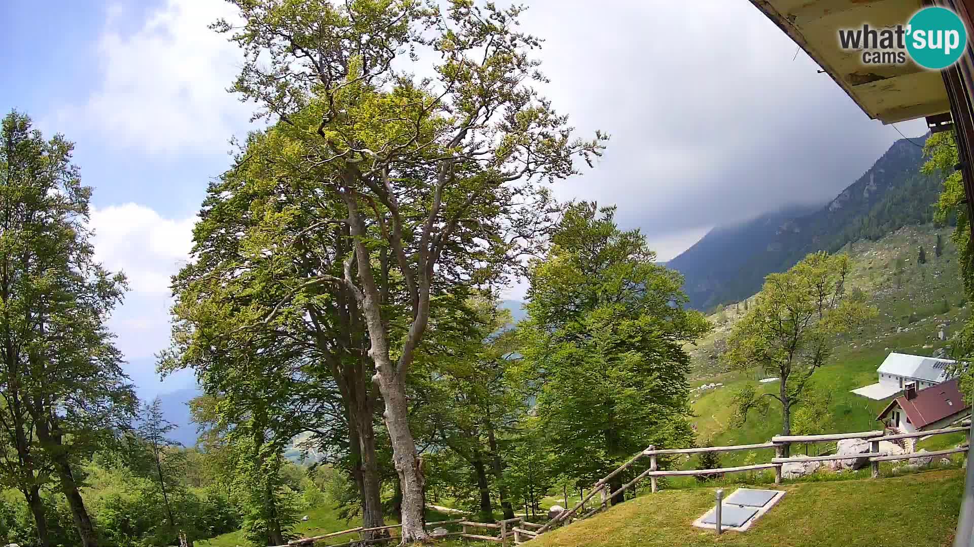 Planina Razor Mountain Hut live cam (1315) | view to Tolminski Migovec