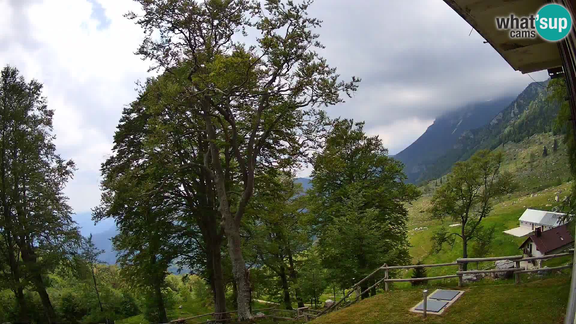 Planina Razor Mountain Hut live cam (1315) | view to Tolminski Migovec