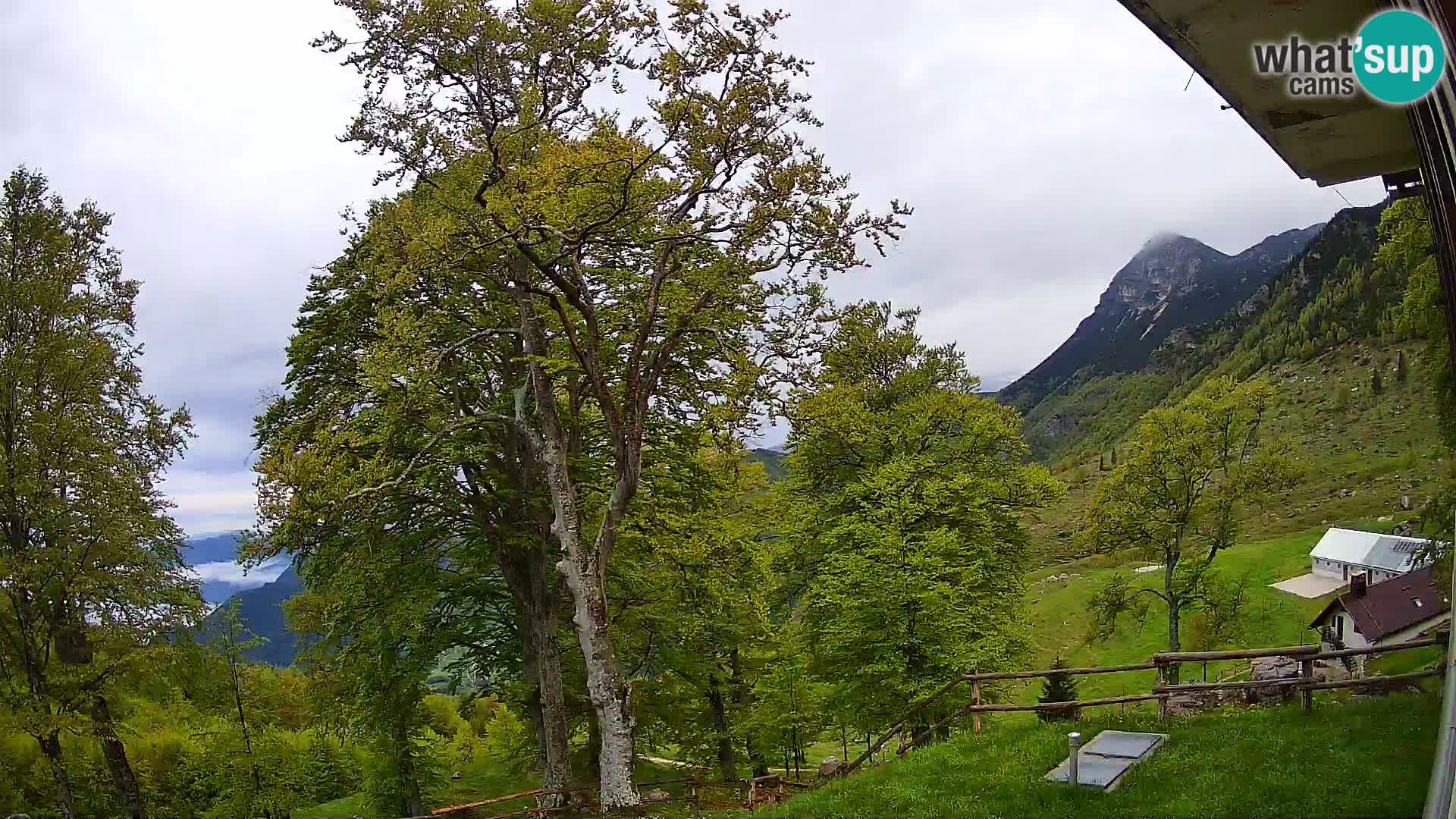 Baita di montagna Planina Razor webcam (1315) | vista su Tolminski Migovec