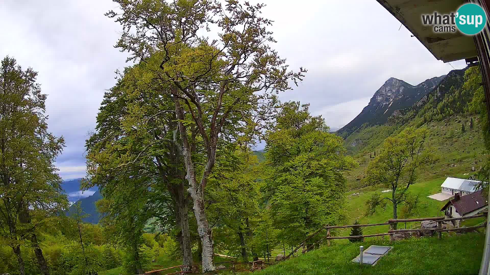 Baita di montagna Planina Razor webcam (1315) | vista su Tolminski Migovec