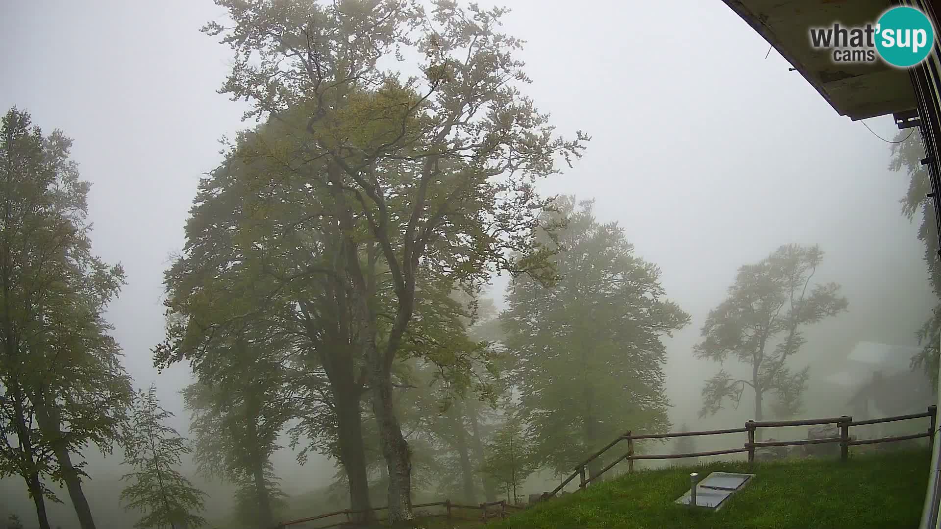 Baita di montagna Planina Razor webcam (1315) | vista su Tolminski Migovec