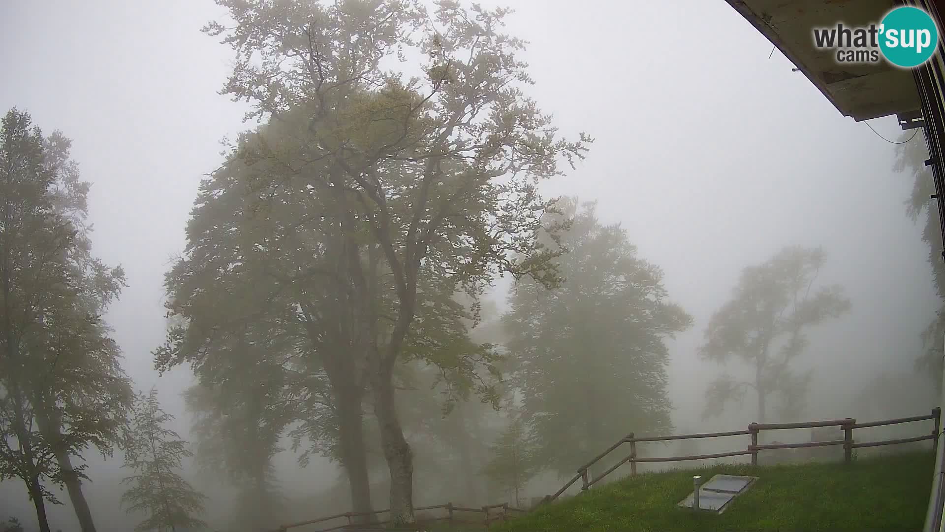 Baita di montagna Planina Razor webcam (1315) | vista su Tolminski Migovec