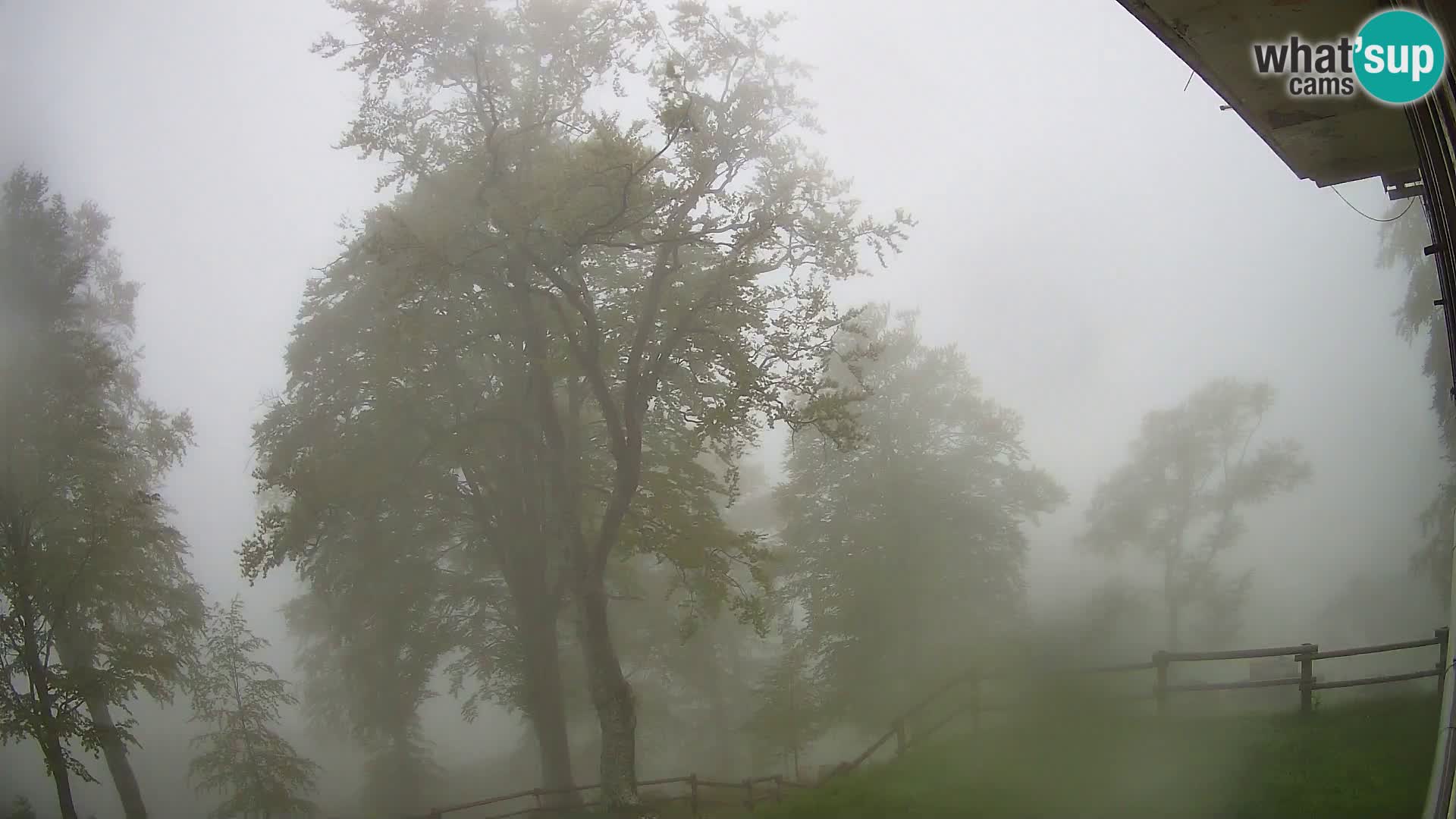 Cámara en vivo de la cabaña de montaña Planina Razor (1315) | vista hacia Tolminski Migovec