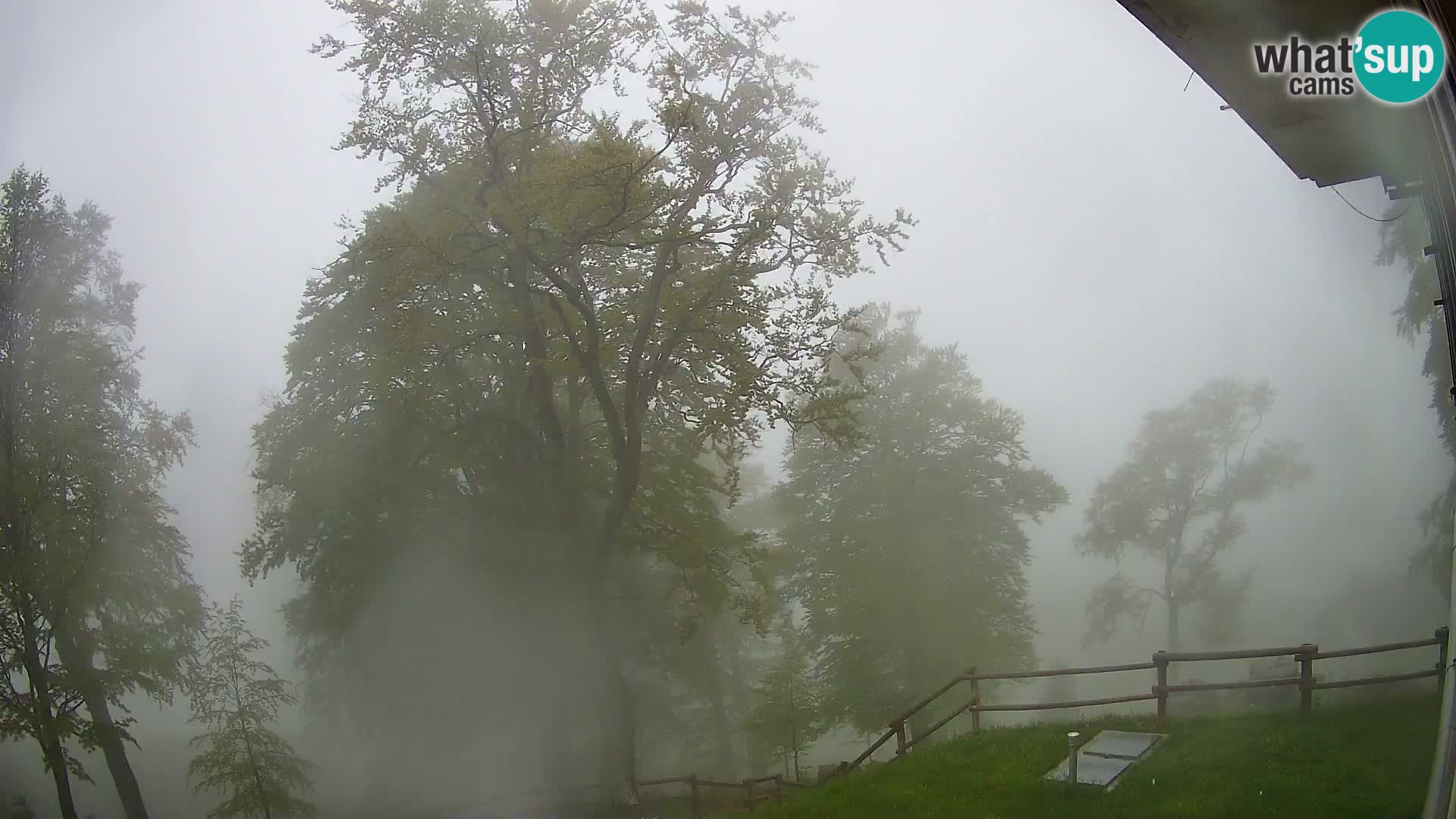 Koča na Planini Razor spletna kamera (1315) | Pogled na Tolminski Migovec