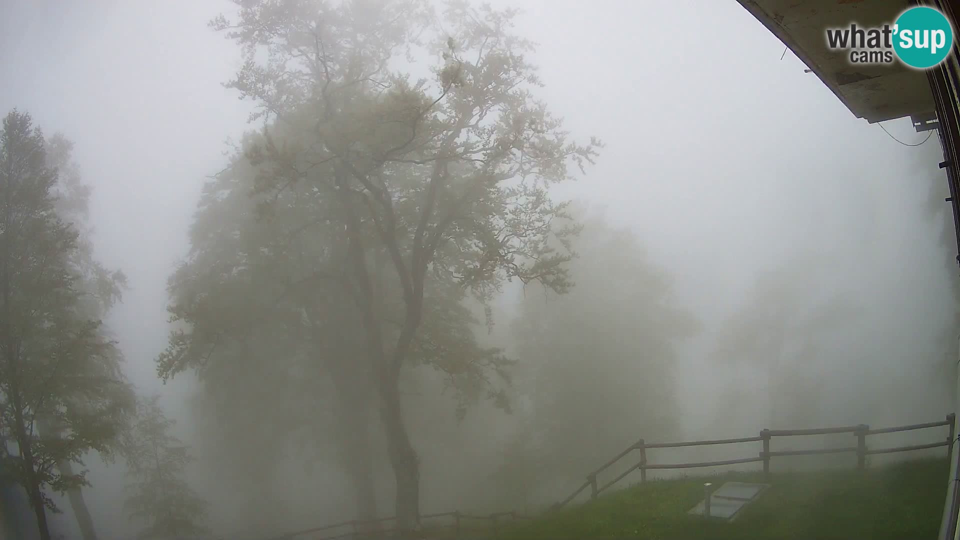 Cámara en vivo de la cabaña de montaña Planina Razor (1315) | vista hacia Tolminski Migovec