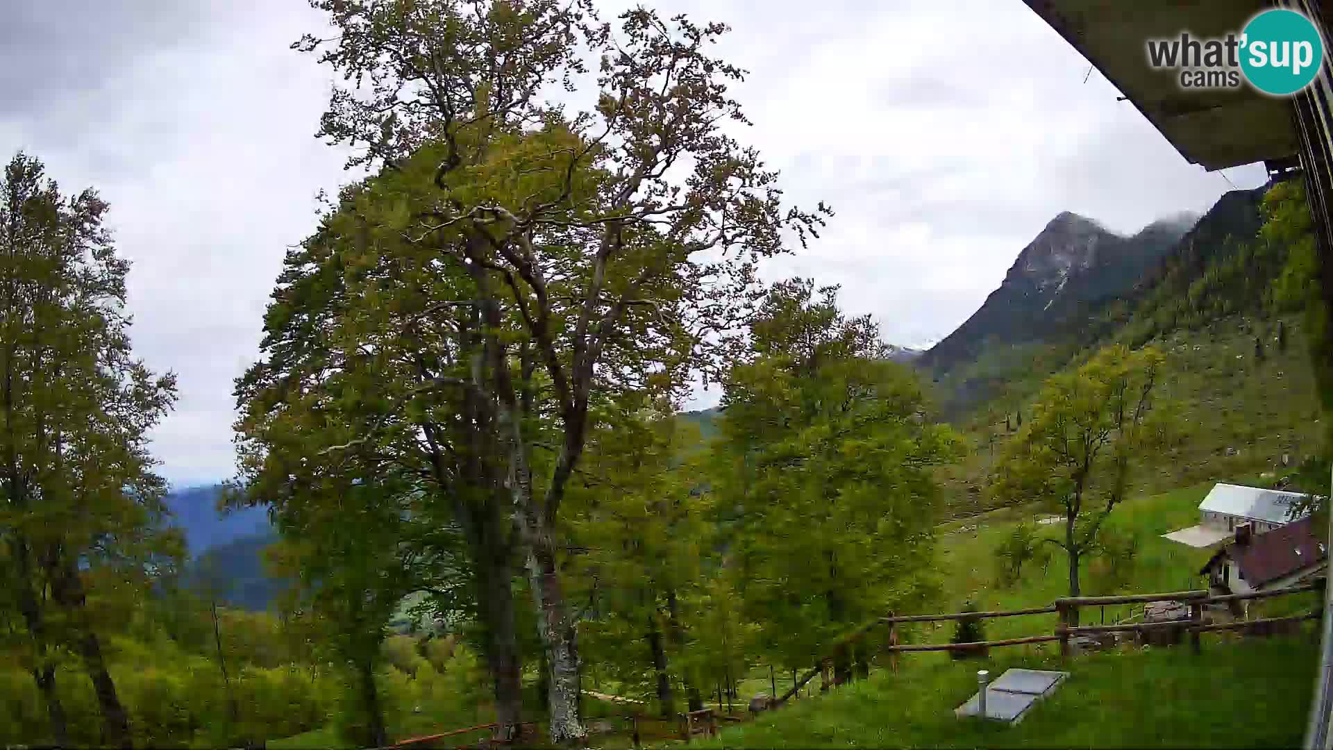 Cámara en vivo de la cabaña de montaña Planina Razor (1315) | vista hacia Tolminski Migovec