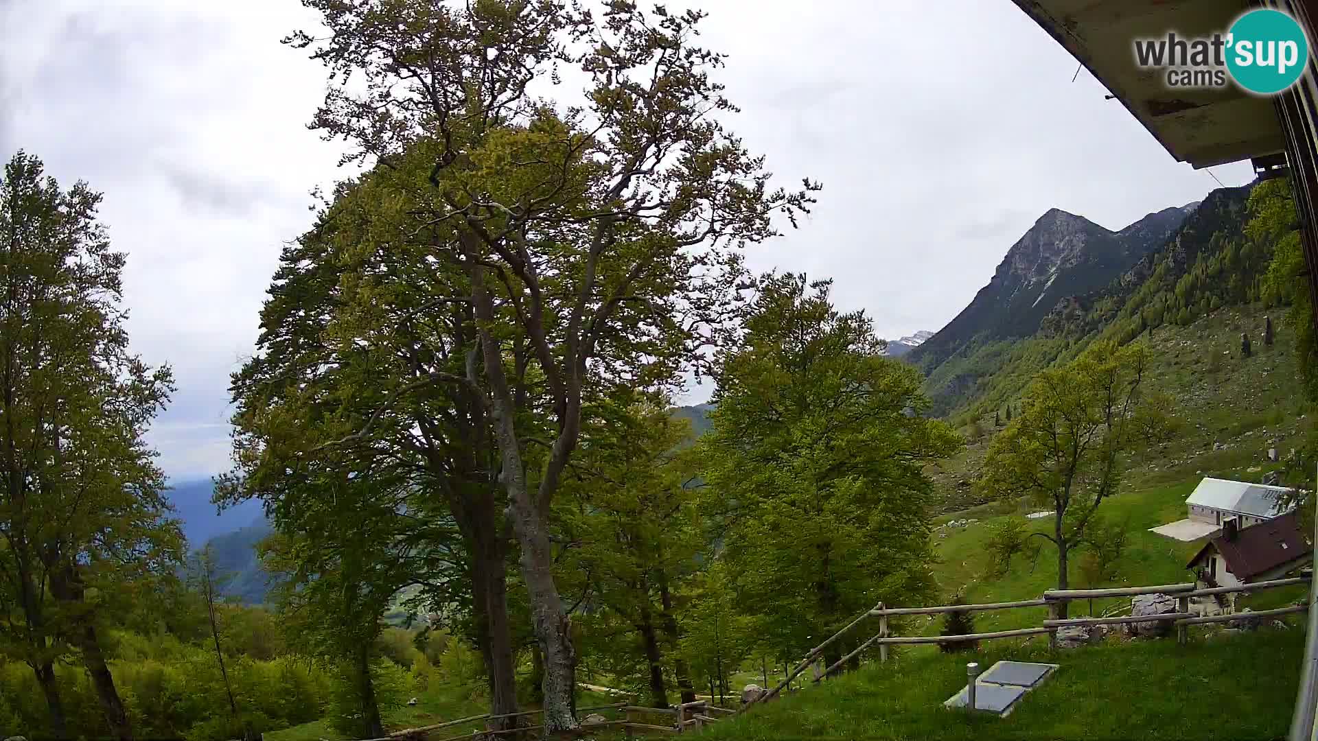 Planina Razor Mountain Hut live cam (1315) | view to Tolminski Migovec