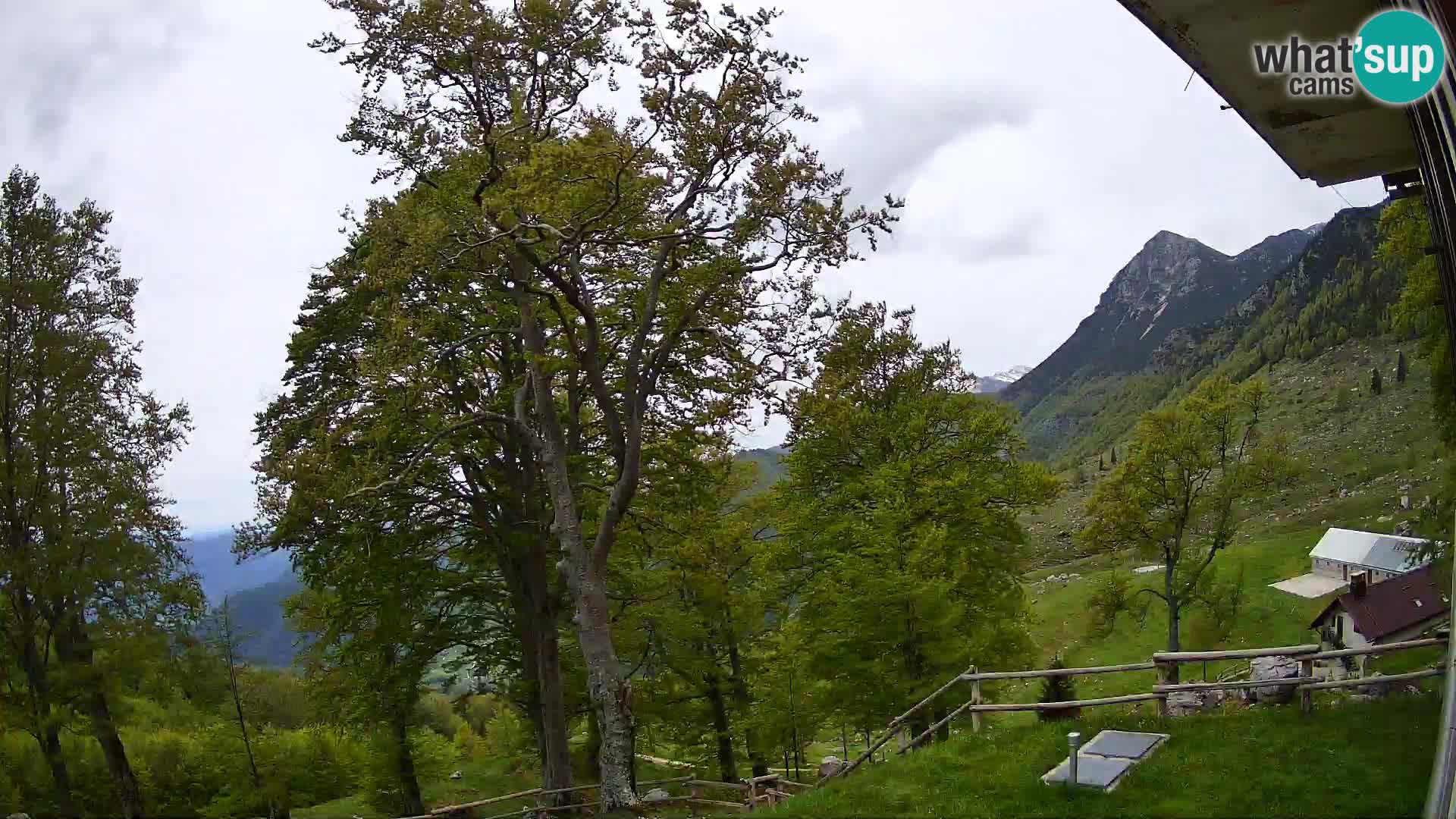 Planina Razor Bergütte Webcam (1315) | Blick auf Tolminski Migovec
