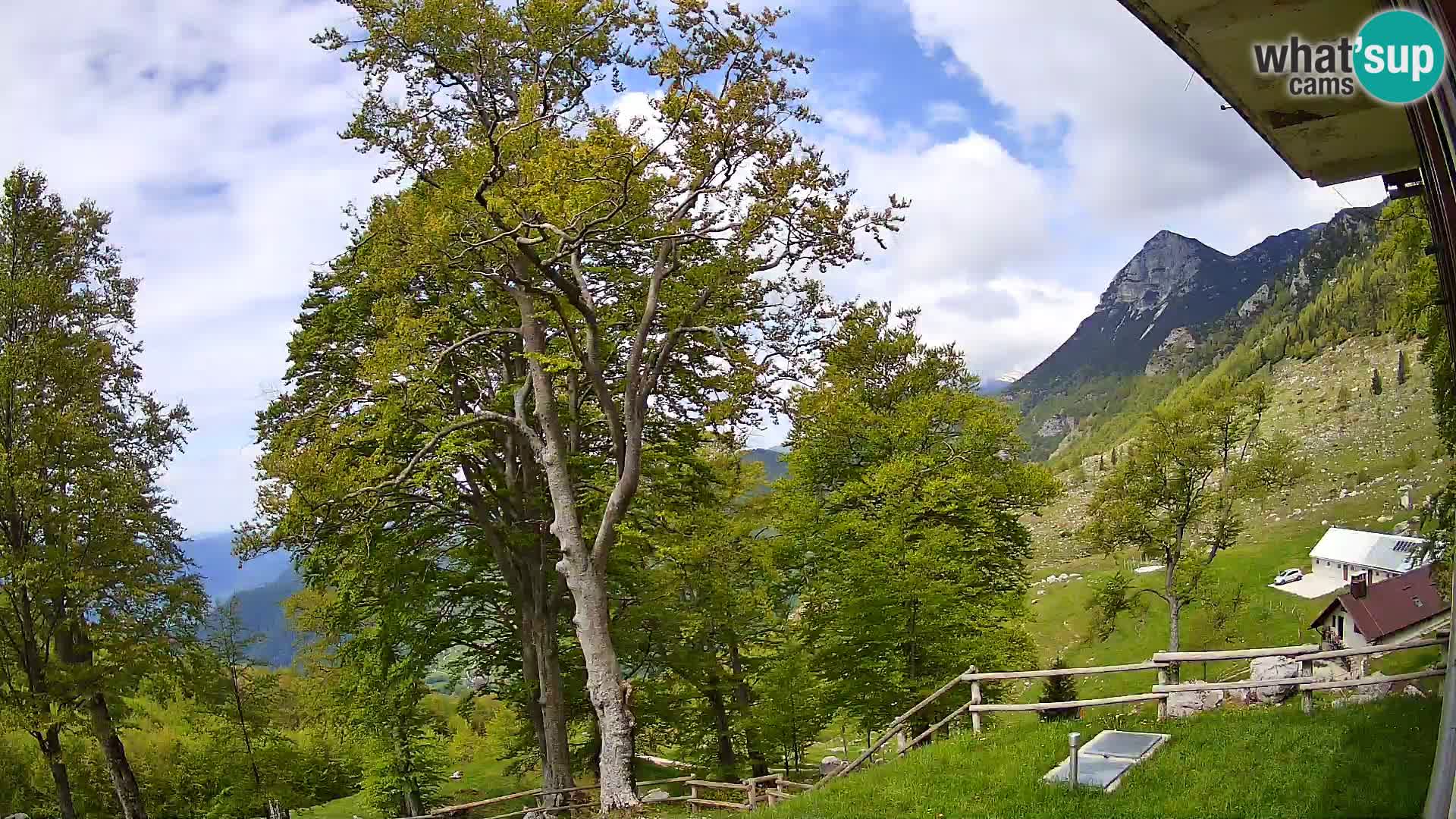 Cámara en vivo de la cabaña de montaña Planina Razor (1315) | vista hacia Tolminski Migovec