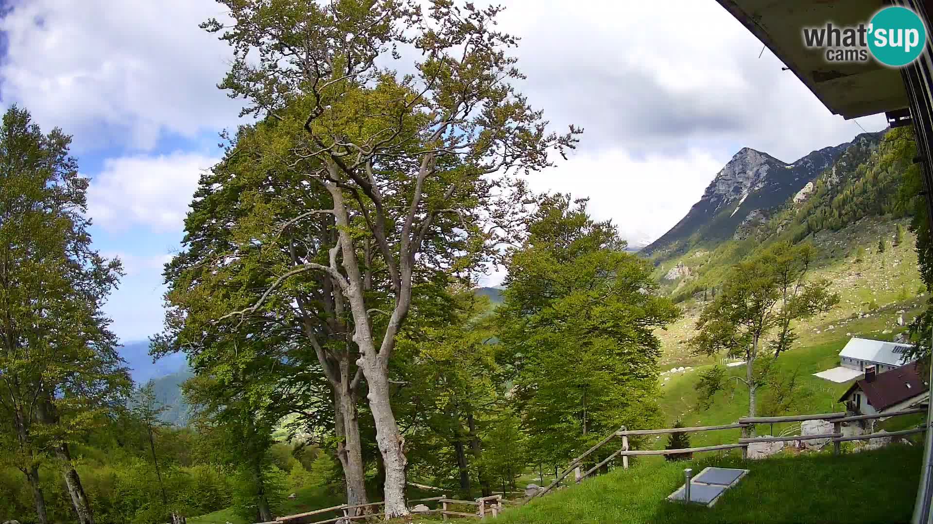 Planina Razor Mountain Hut live cam (1315) | view to Tolminski Migovec