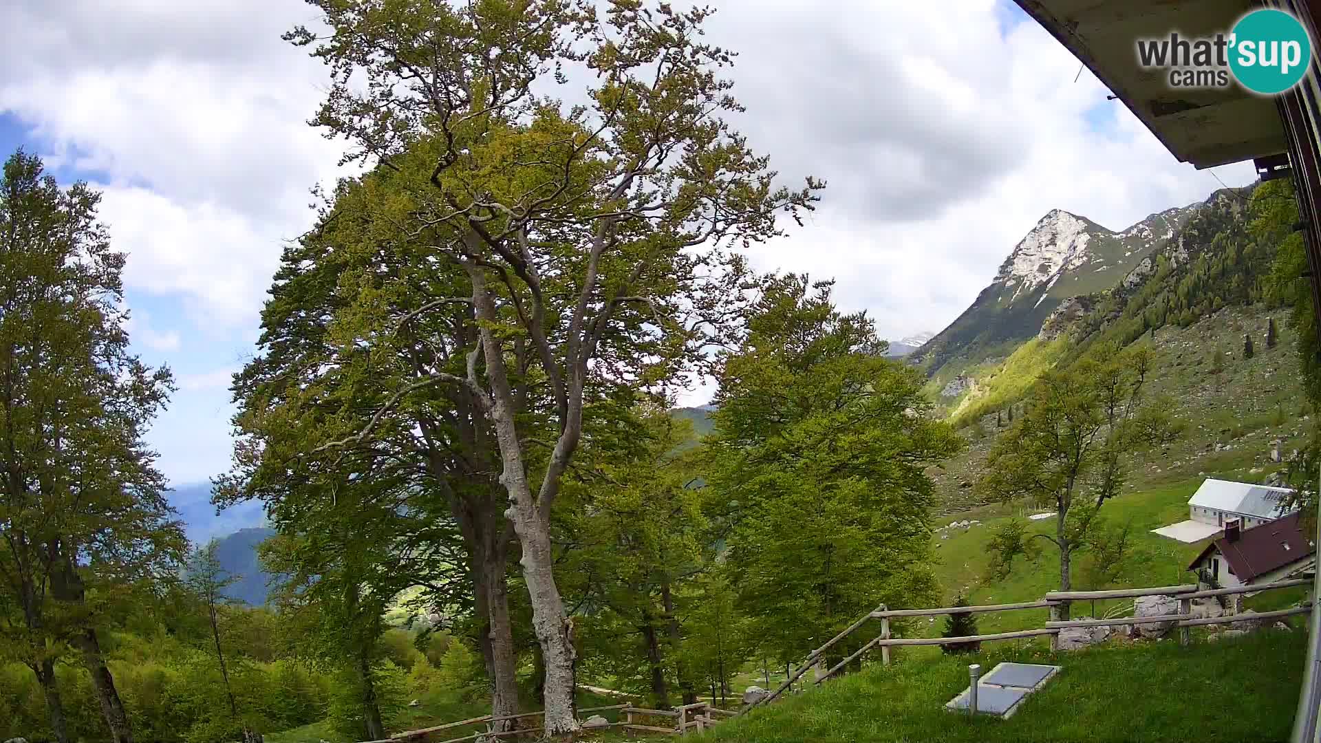 Planina Razor Bergütte Webcam (1315) | Blick auf Tolminski Migovec