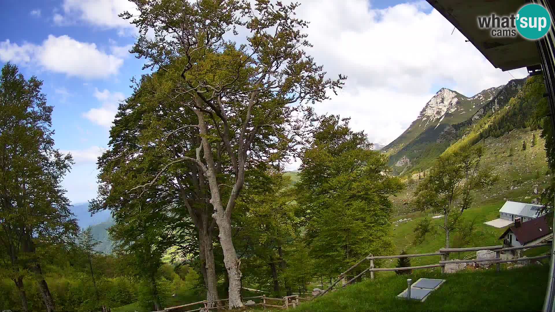 Baita di montagna Planina Razor webcam (1315) | vista su Tolminski Migovec