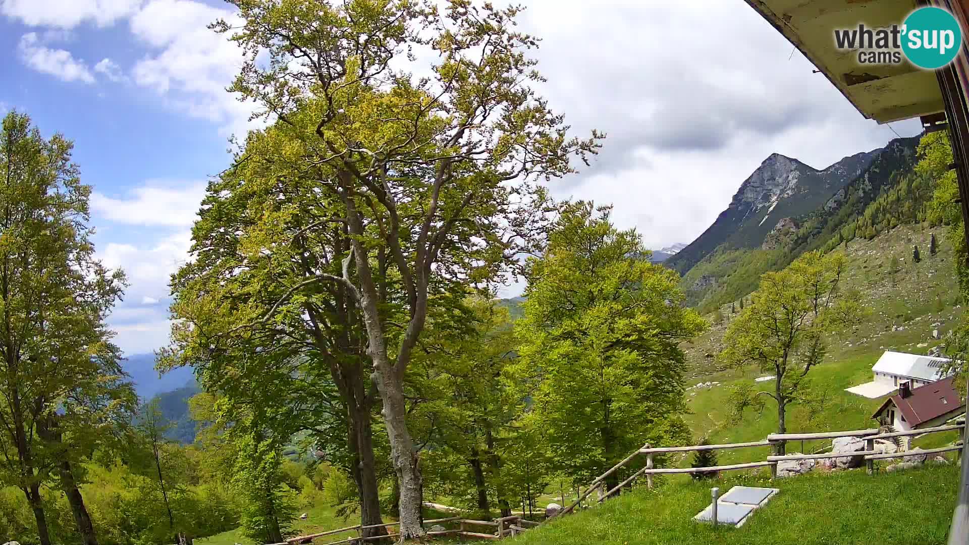 Planina Razor Bergütte Webcam (1315) | Blick auf Tolminski Migovec