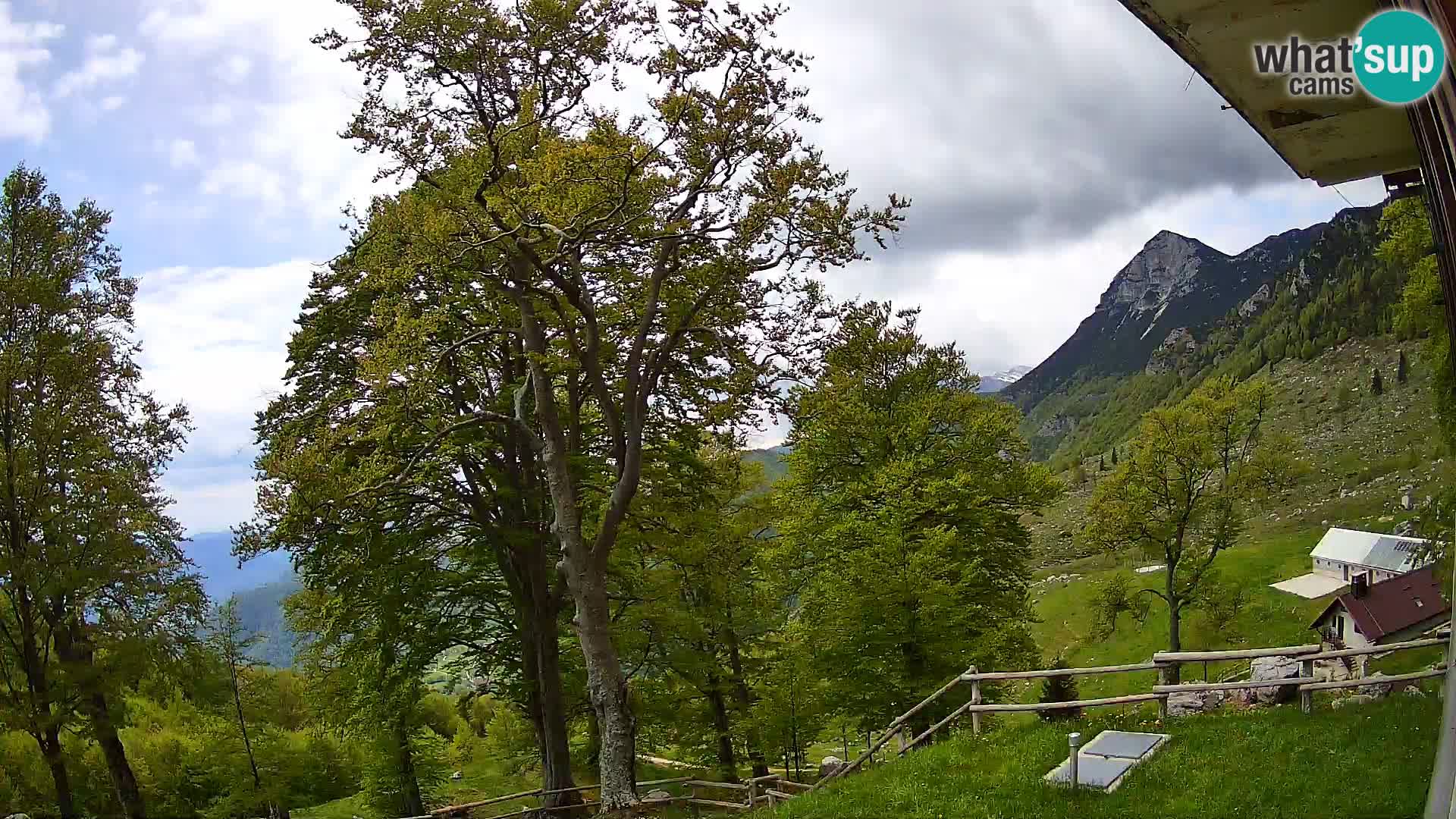 Planina Razor Bergütte Webcam (1315) | Blick auf Tolminski Migovec