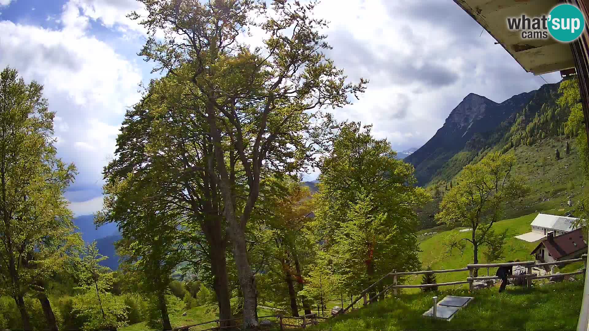 Planina Razor Bergütte Webcam (1315) | Blick auf Tolminski Migovec