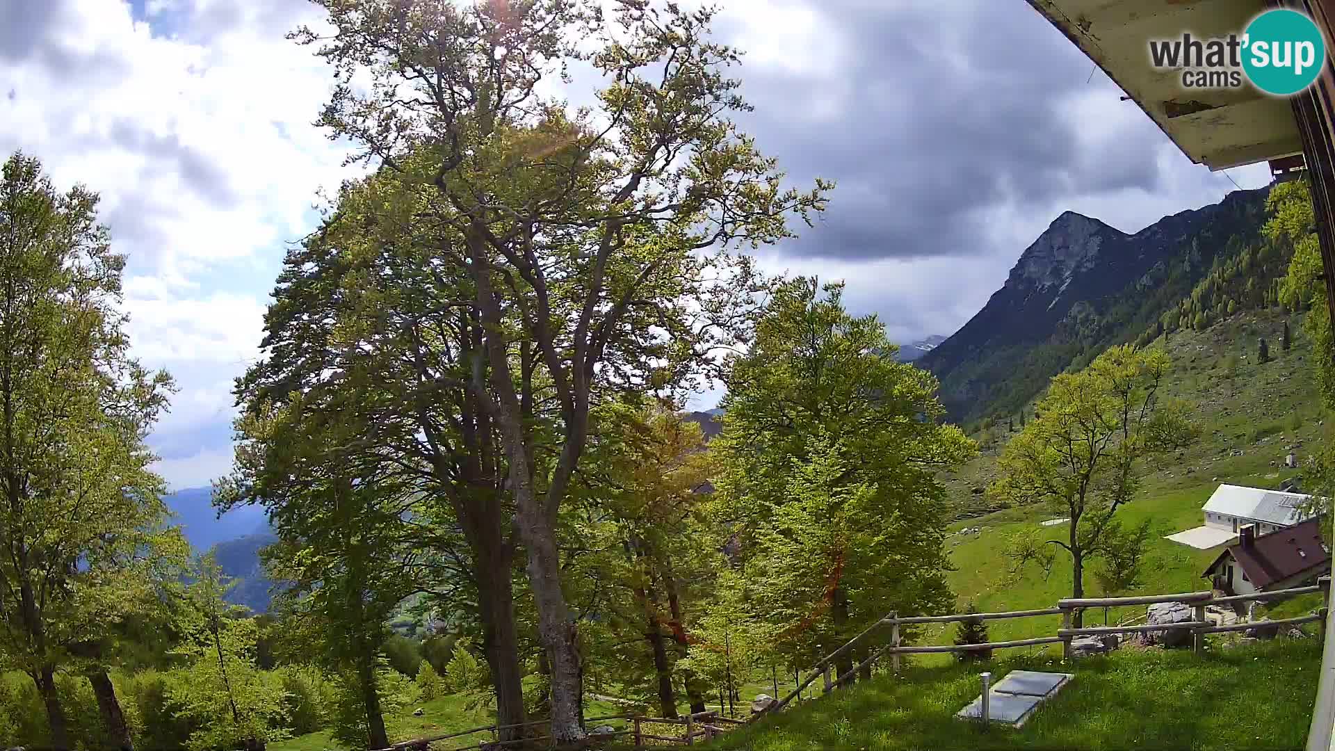 Planina Razor Bergütte Webcam (1315) | Blick auf Tolminski Migovec
