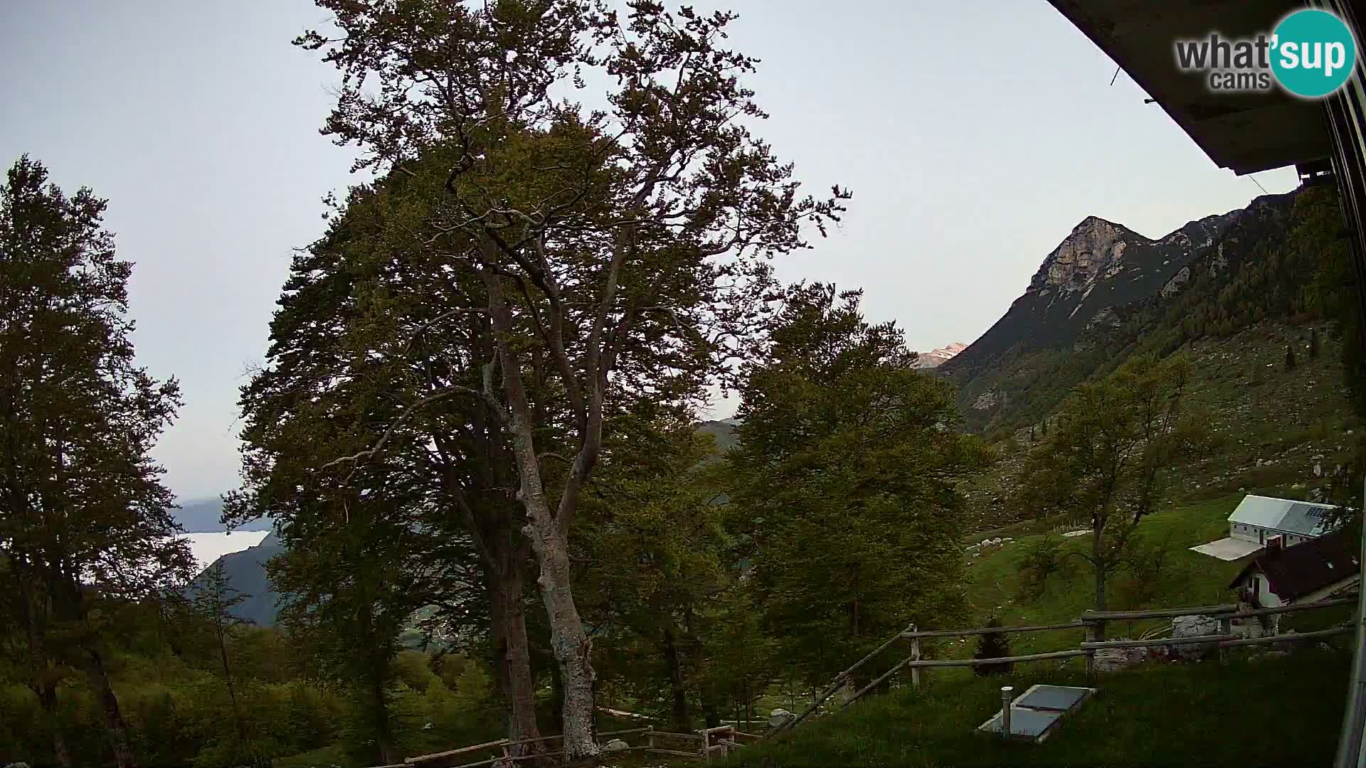 Planina Razor Bergütte Webcam (1315) | Blick auf Tolminski Migovec