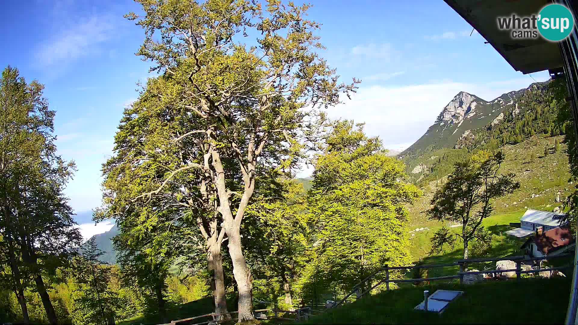 Cámara en vivo de la cabaña de montaña Planina Razor (1315) | vista hacia Tolminski Migovec