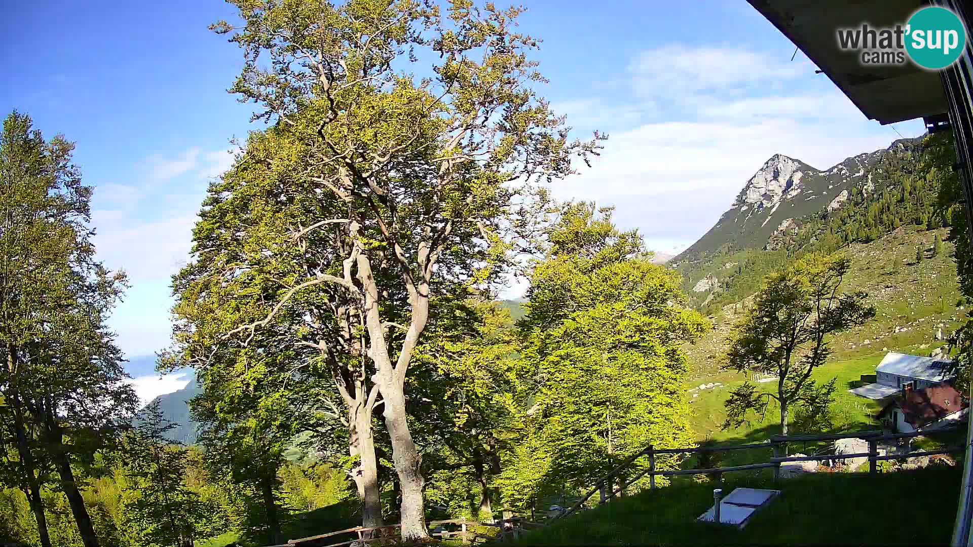 Planina Razor Bergütte Webcam (1315) | Blick auf Tolminski Migovec
