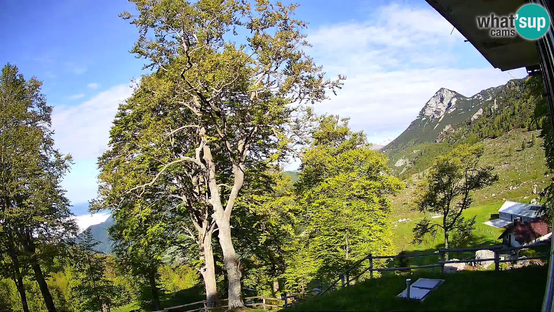 Baita di montagna Planina Razor webcam (1315) | vista su Tolminski Migovec