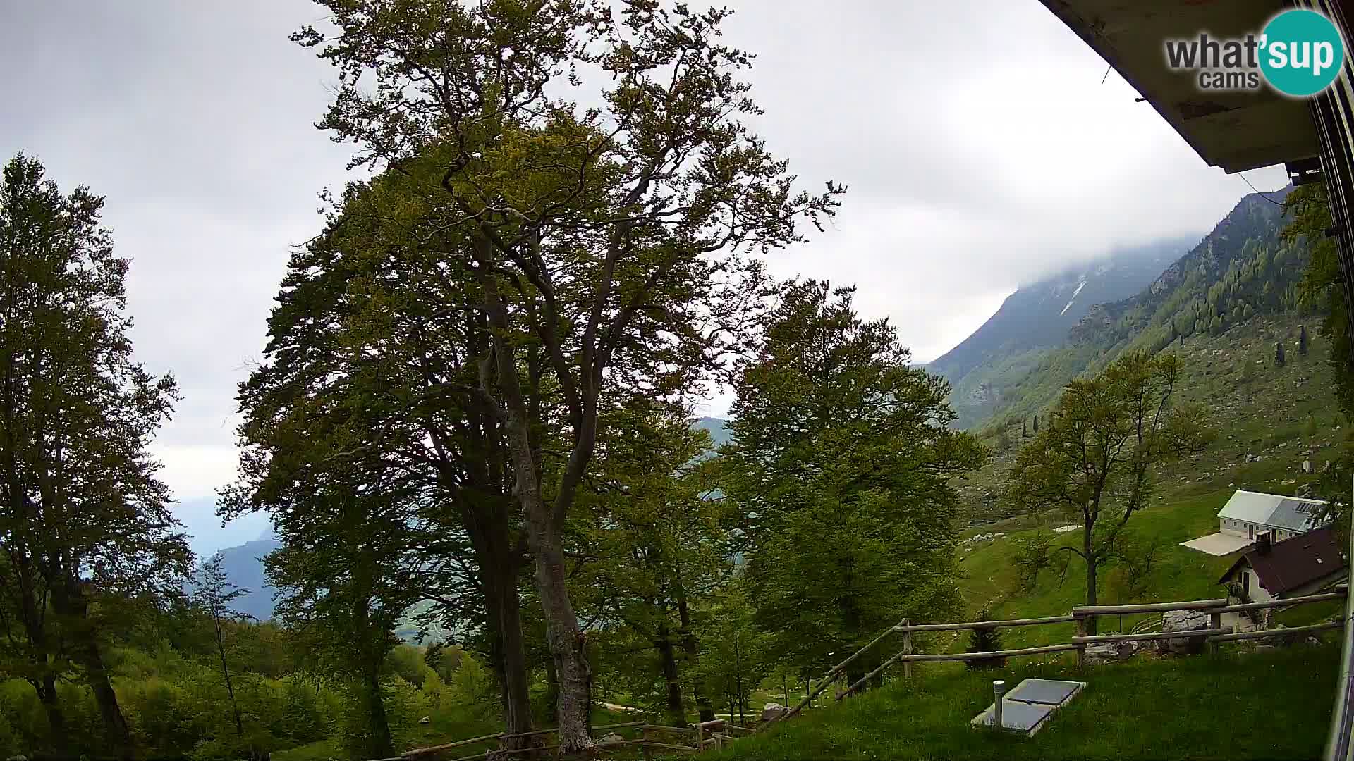 Cámara en vivo de la cabaña de montaña Planina Razor (1315) | vista hacia Tolminski Migovec