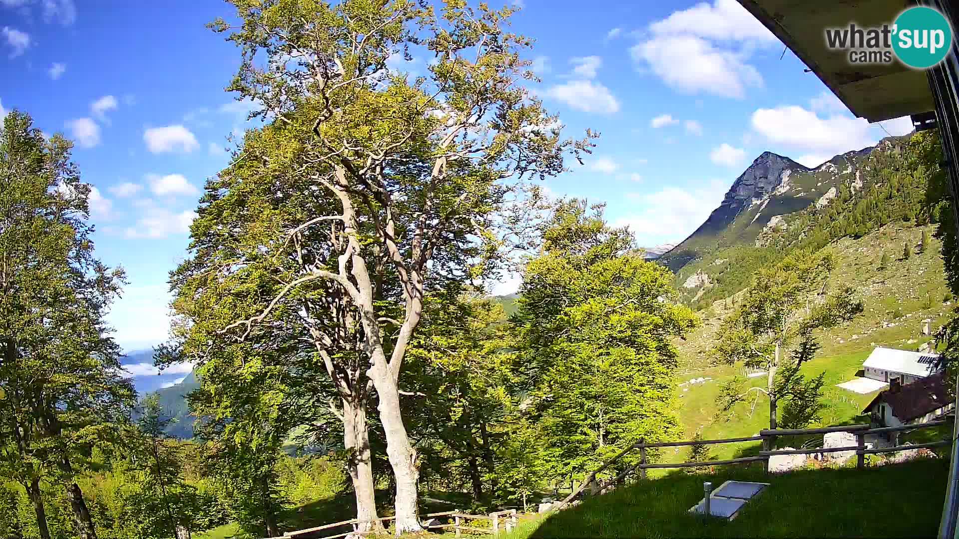Cámara en vivo de la cabaña de montaña Planina Razor (1315) | vista hacia Tolminski Migovec
