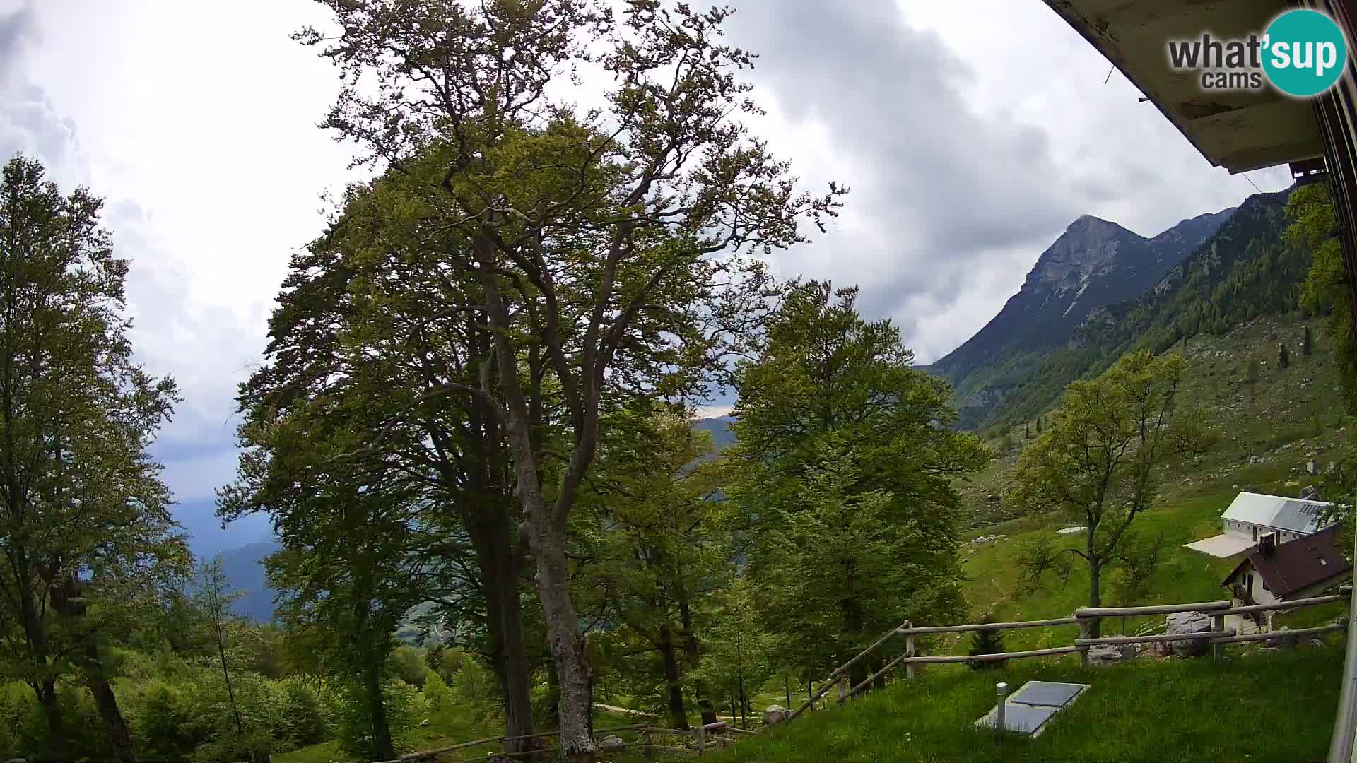 Planina Razor Bergütte Webcam (1315) | Blick auf Tolminski Migovec