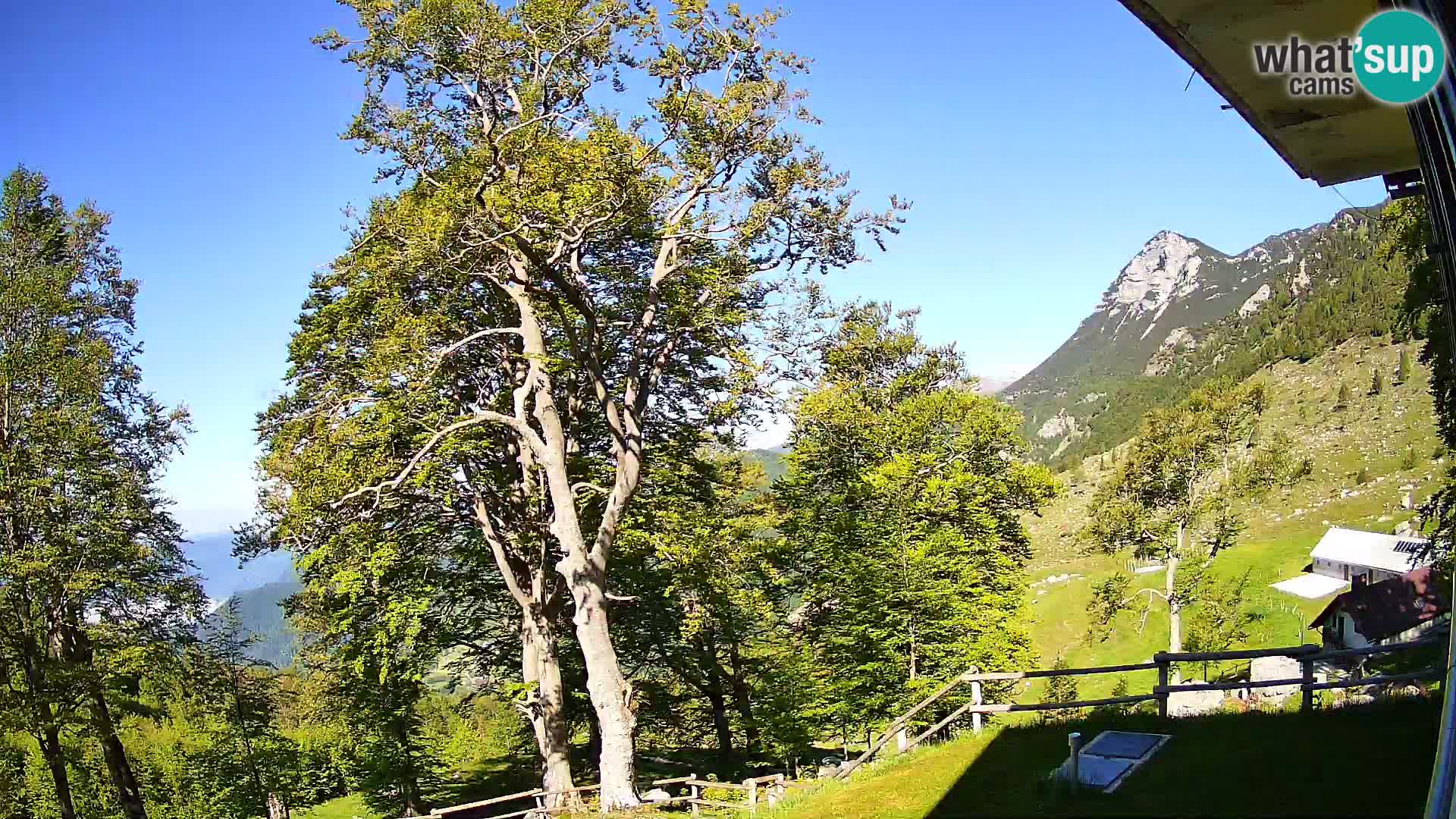 Planina Razor Mountain Hut live cam (1315) | view to Tolminski Migovec