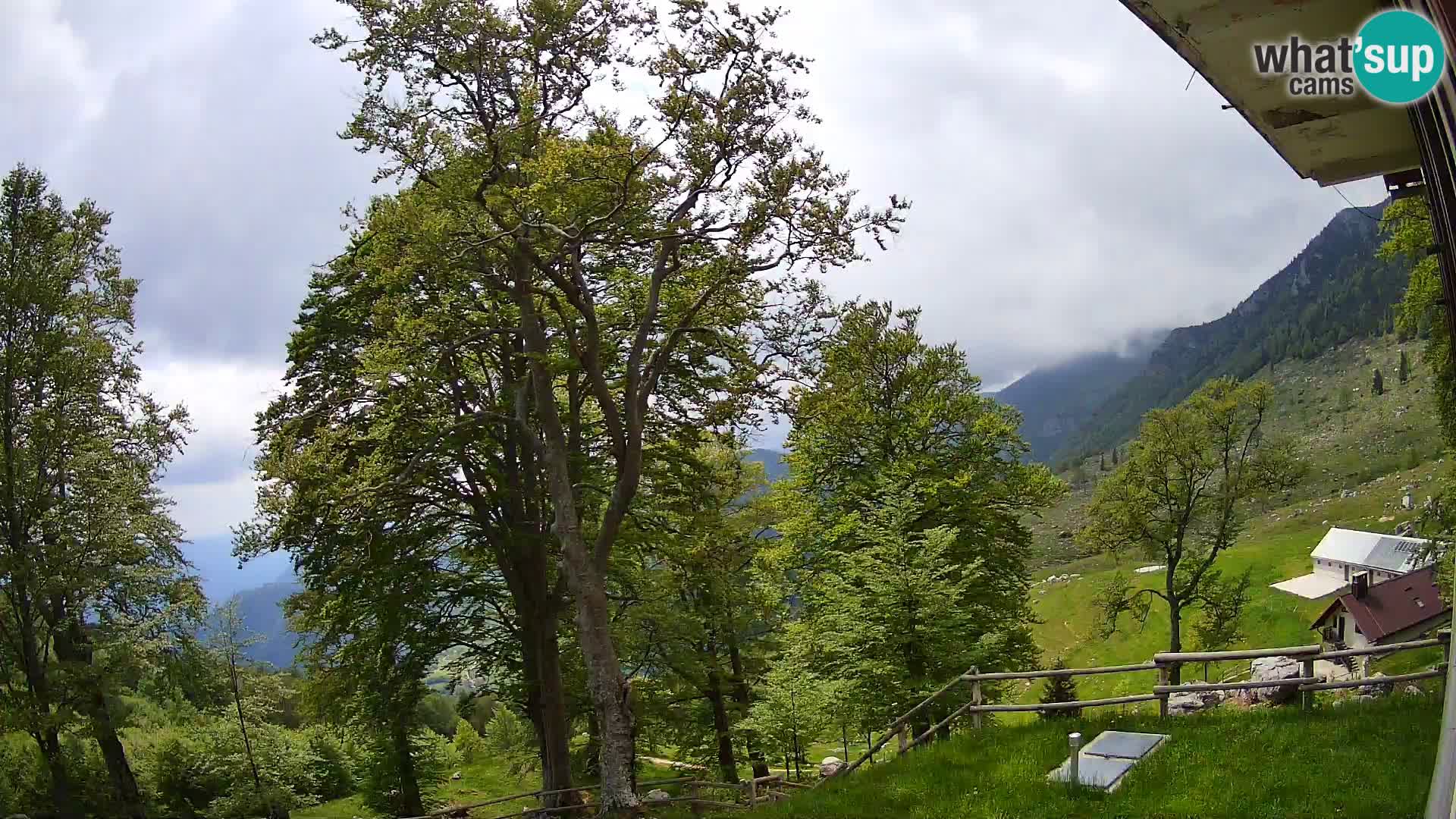 Planina Razor Bergütte Webcam (1315) | Blick auf Tolminski Migovec