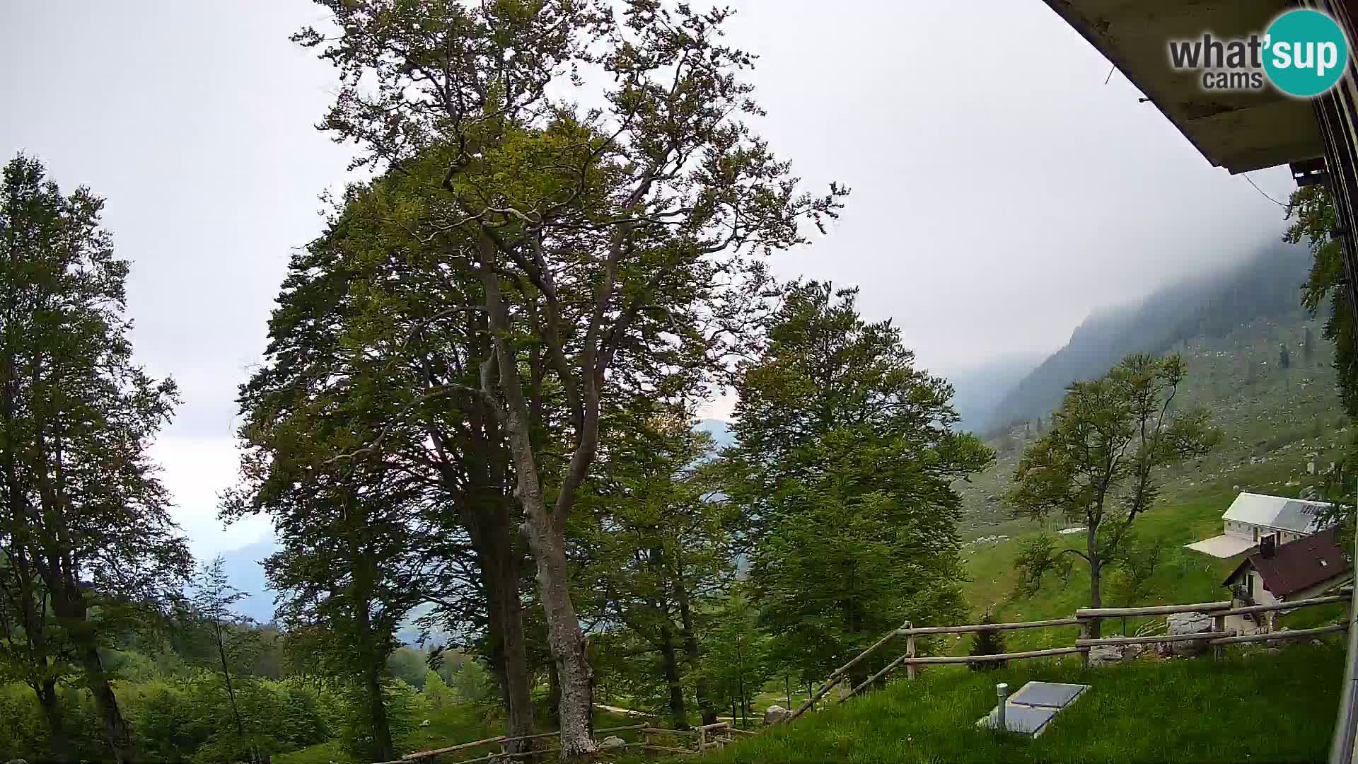 Cámara en vivo de la cabaña de montaña Planina Razor (1315) | vista hacia Tolminski Migovec